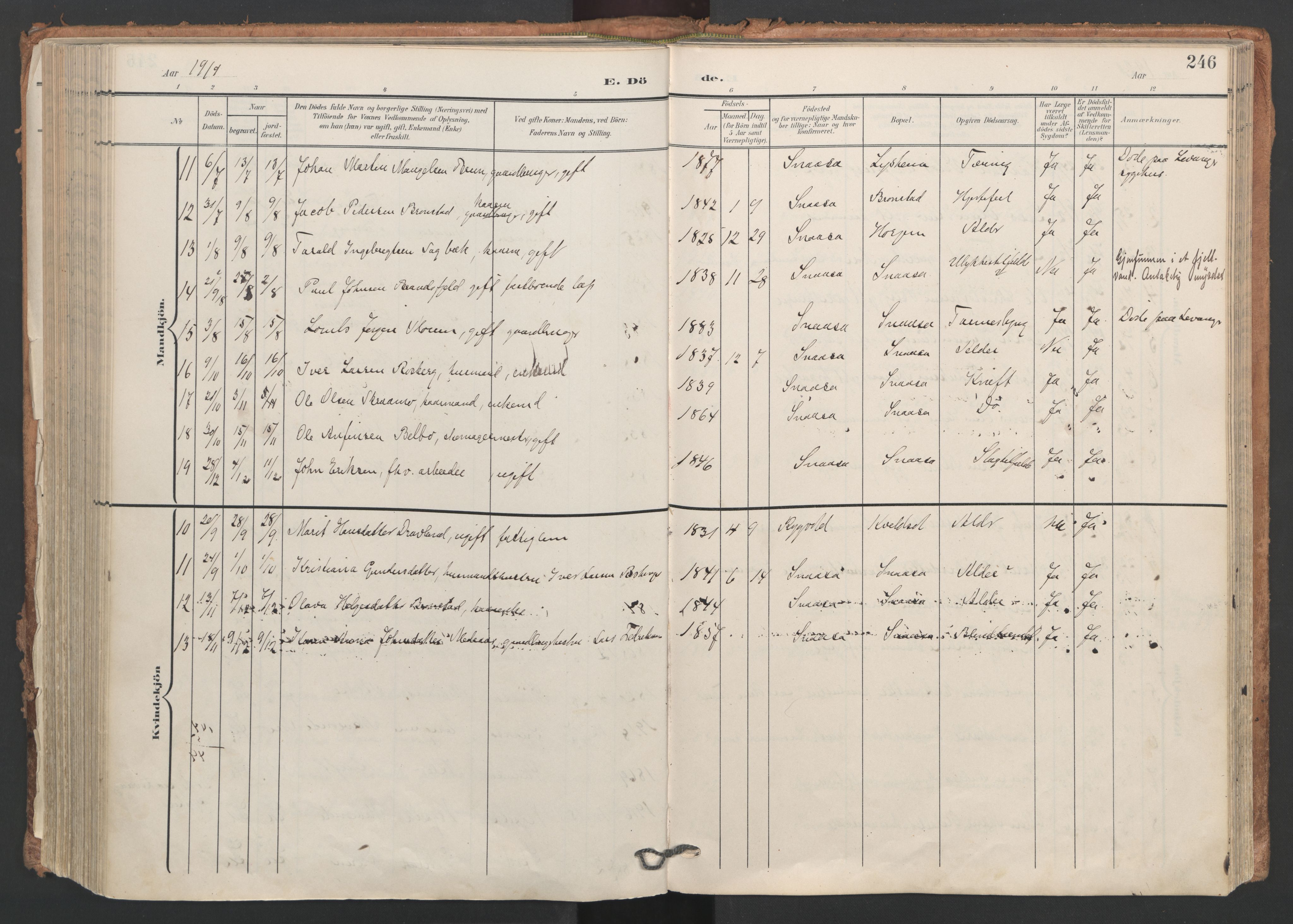 Ministerialprotokoller, klokkerbøker og fødselsregistre - Nord-Trøndelag, SAT/A-1458/749/L0477: Parish register (official) no. 749A11, 1902-1927, p. 246