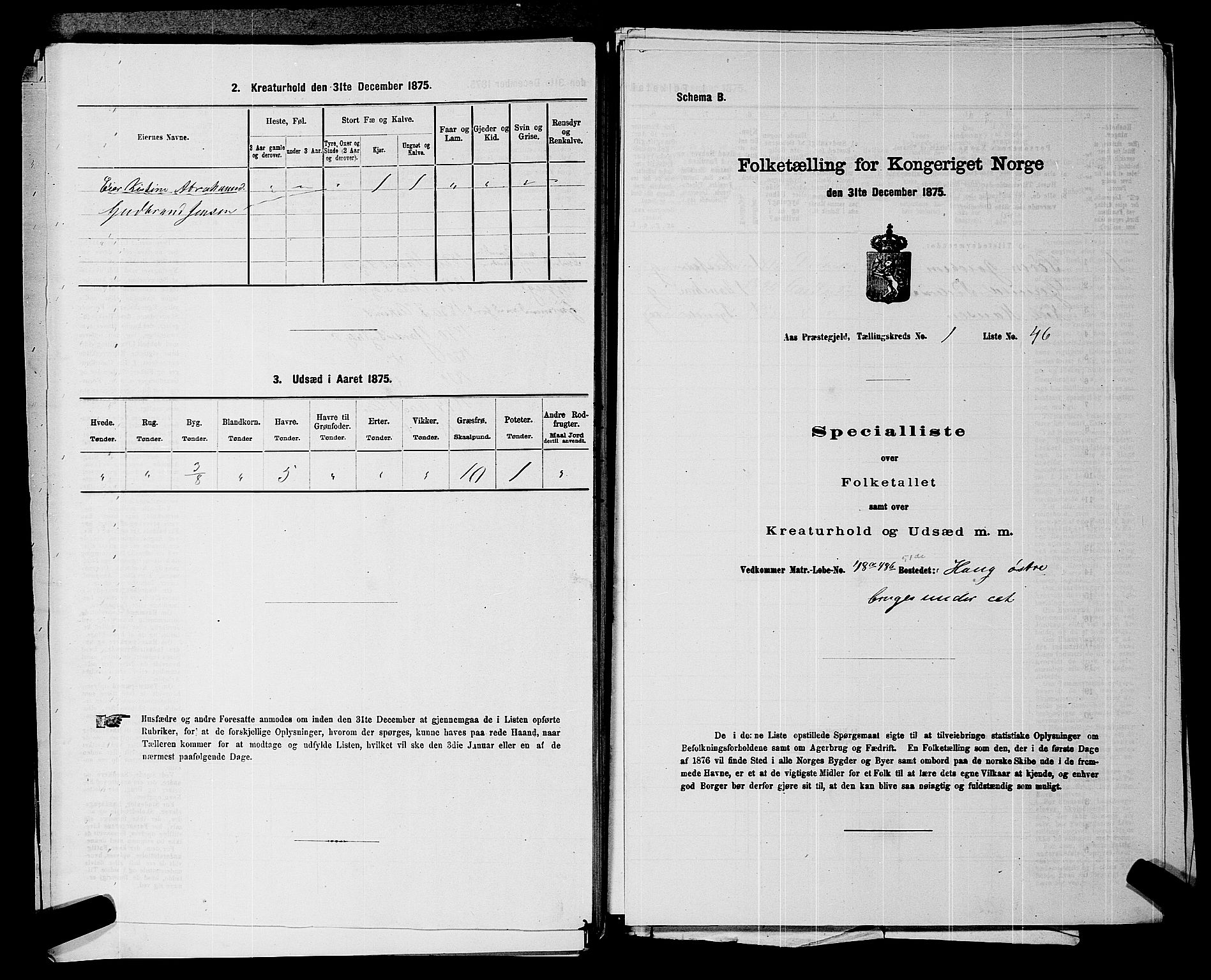 RA, 1875 census for 0214P Ås, 1875, p. 113