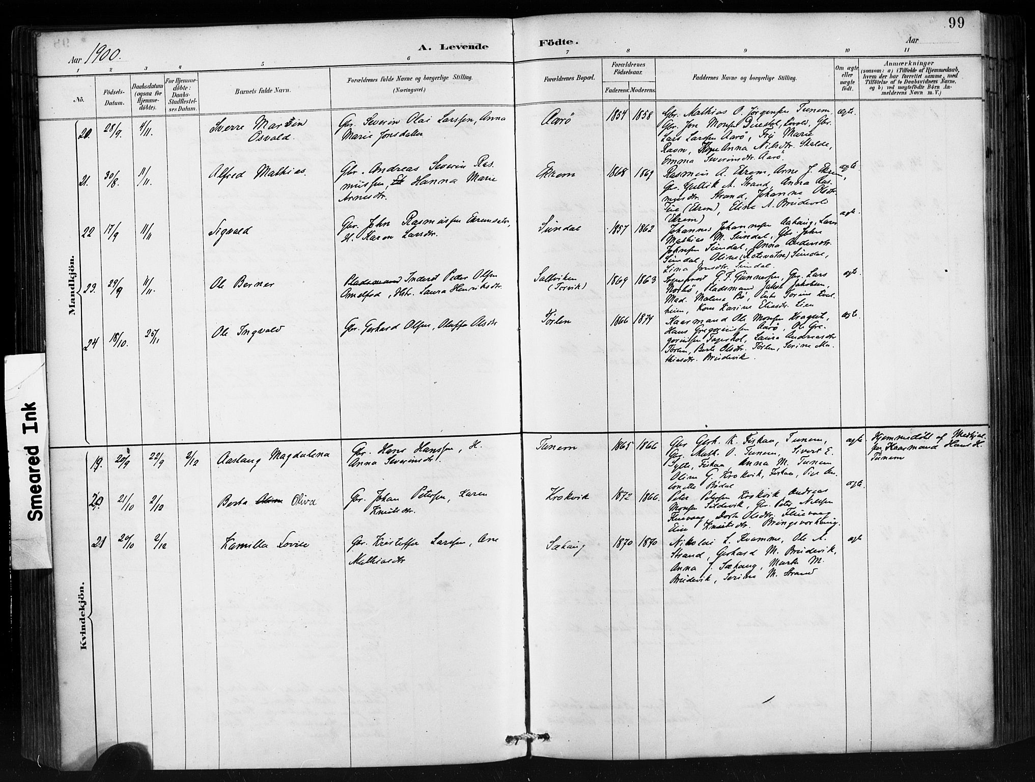 Ministerialprotokoller, klokkerbøker og fødselsregistre - Møre og Romsdal, AV/SAT-A-1454/501/L0008: Parish register (official) no. 501A08, 1885-1901, p. 99