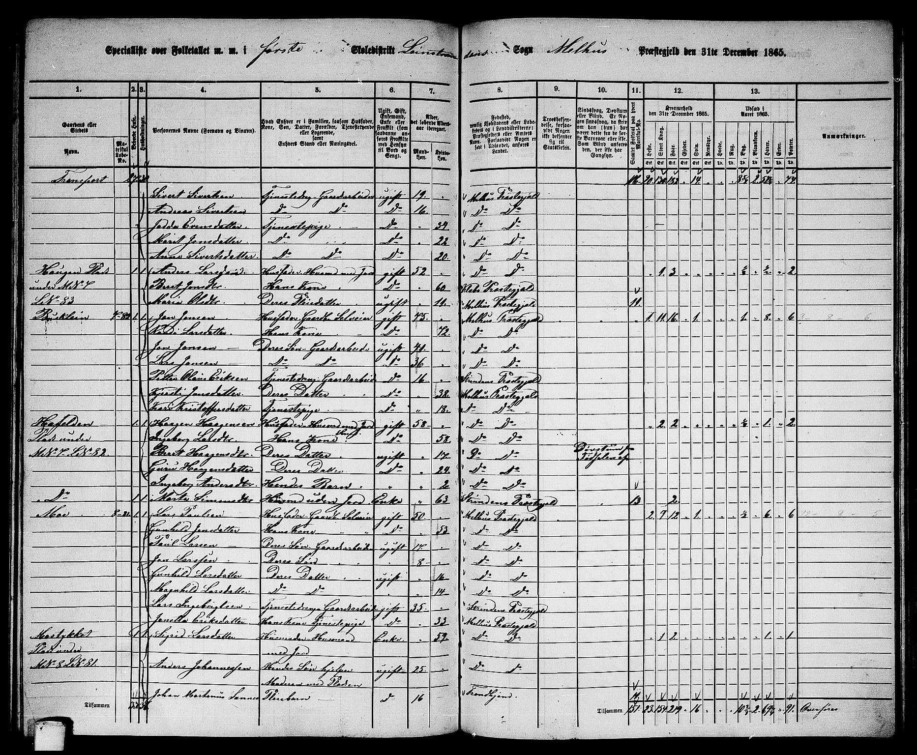 RA, 1865 census for Melhus, 1865, p. 205