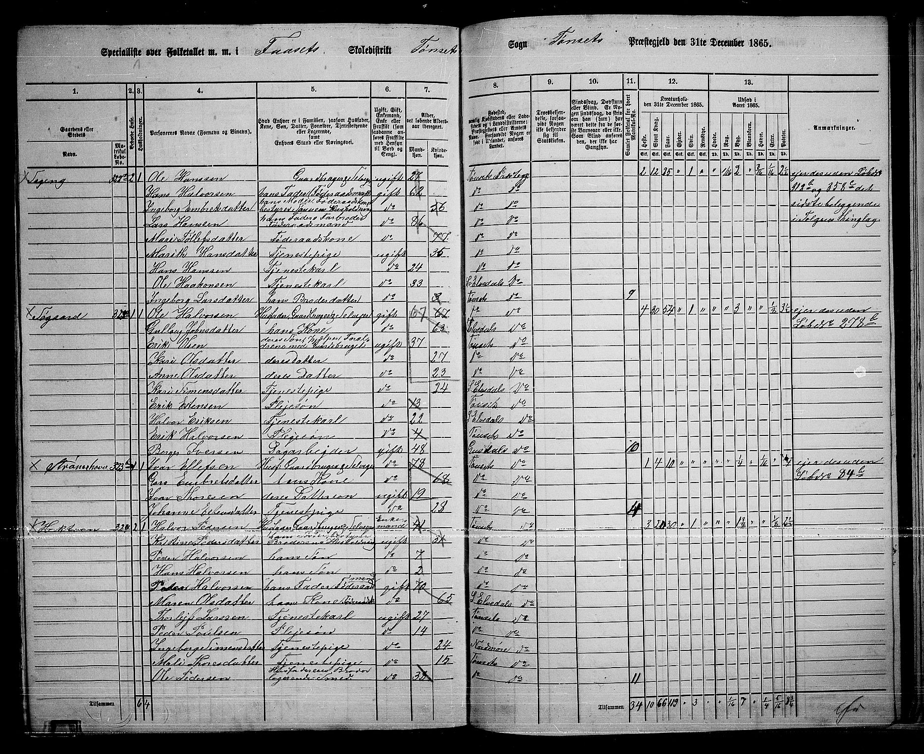 RA, 1865 census for Tynset, 1865, p. 124