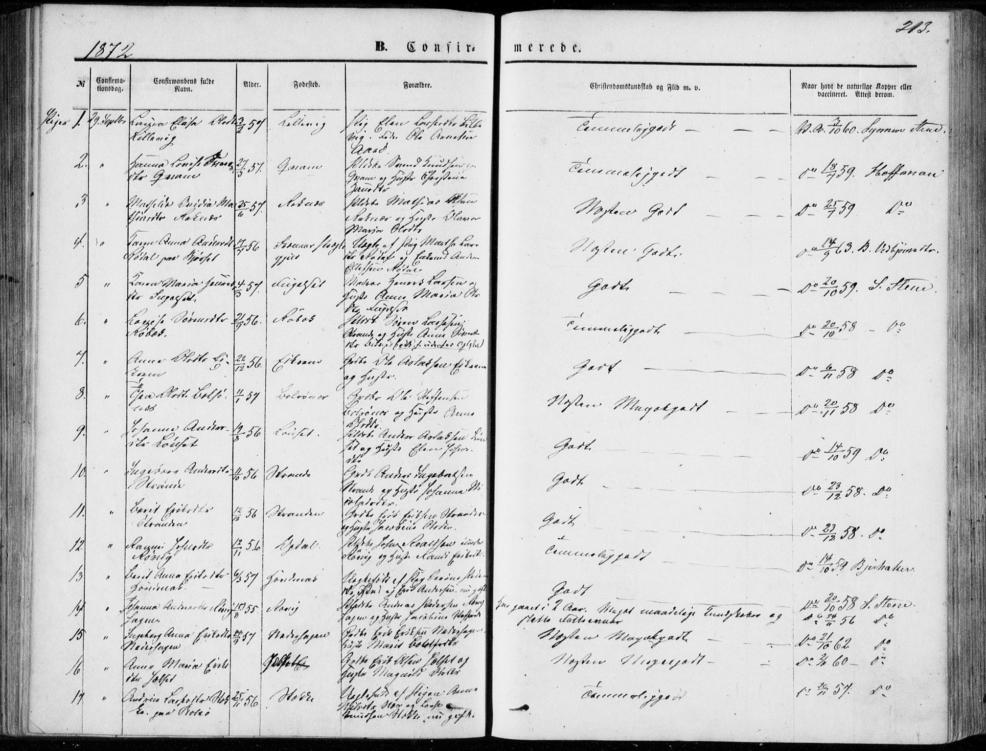 Ministerialprotokoller, klokkerbøker og fødselsregistre - Møre og Romsdal, AV/SAT-A-1454/555/L0655: Parish register (official) no. 555A05, 1869-1886, p. 213