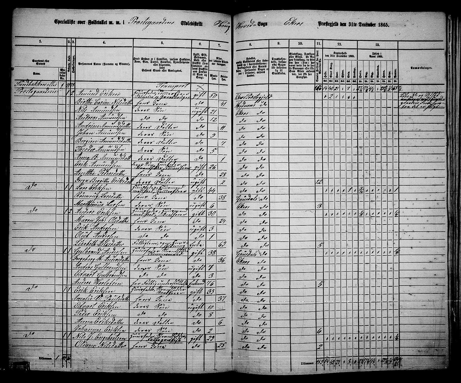 RA, 1865 census for Eiker, 1865, p. 178