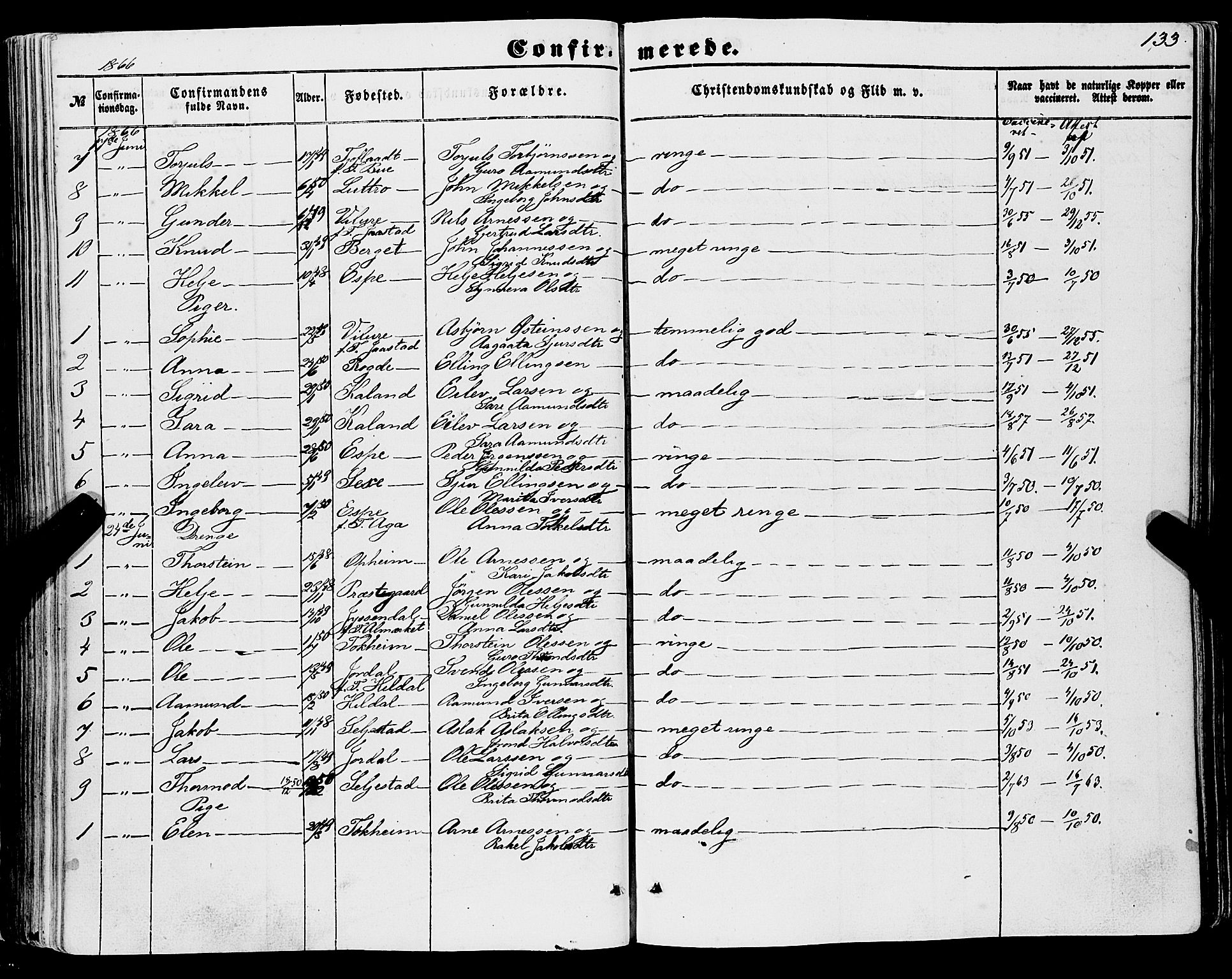 Ullensvang sokneprestembete, SAB/A-78701/H/Haa: Parish register (official) no. A 11, 1854-1866, p. 133