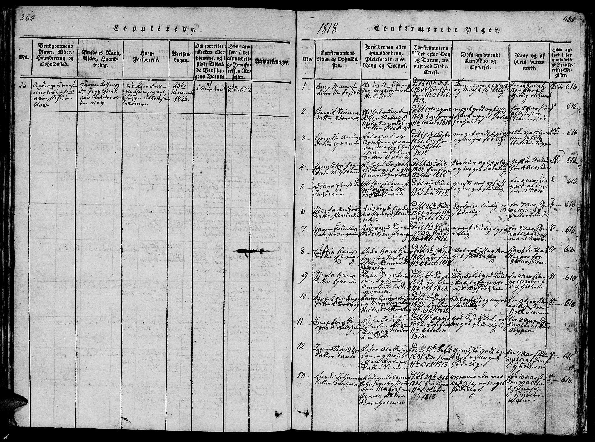 Ministerialprotokoller, klokkerbøker og fødselsregistre - Sør-Trøndelag, AV/SAT-A-1456/659/L0744: Parish register (copy) no. 659C01, 1818-1825, p. 366