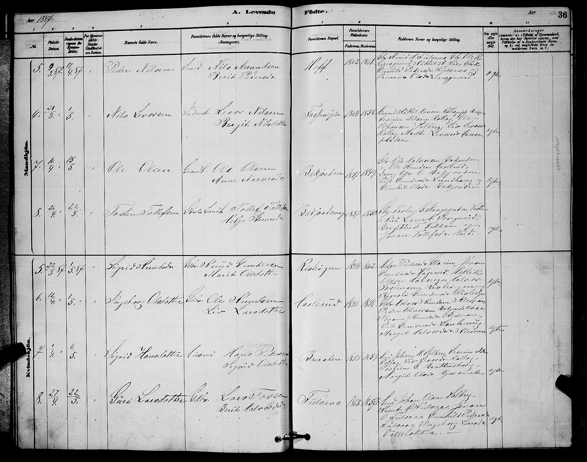 Rollag kirkebøker, AV/SAKO-A-240/G/Ga/L0004: Parish register (copy) no. I 4, 1878-1903, p. 36