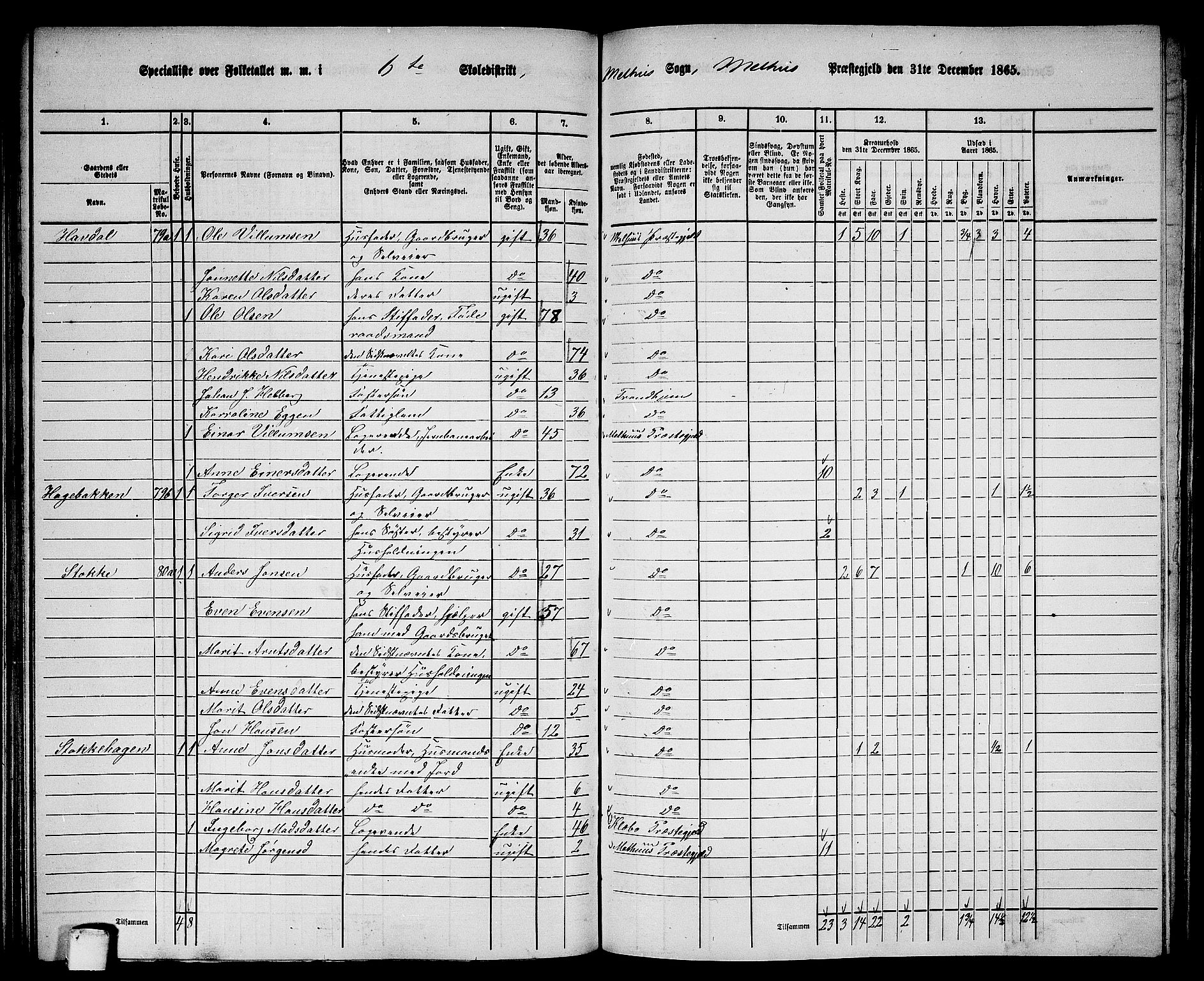 RA, 1865 census for Melhus, 1865, p. 127