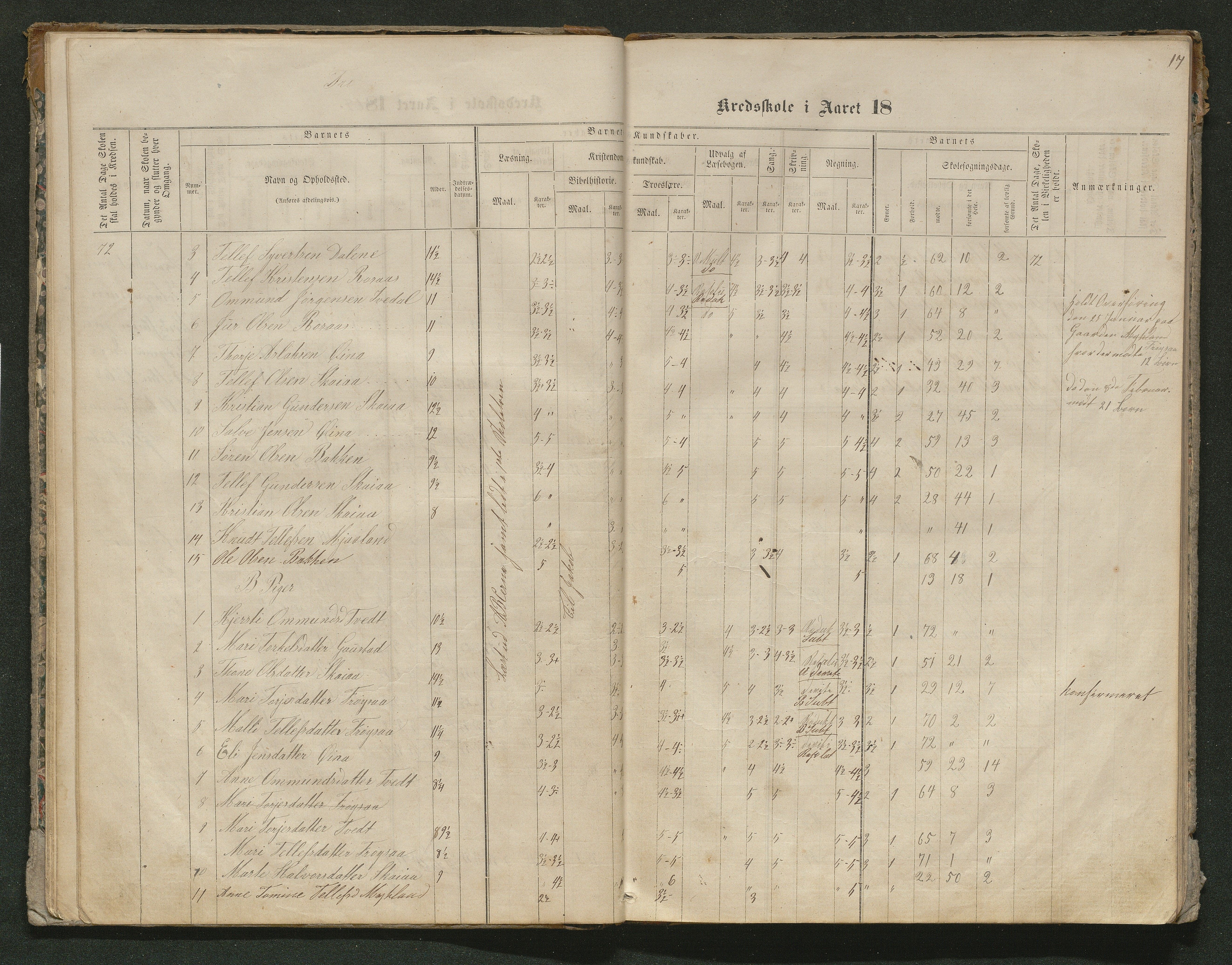 Iveland kommune, De enkelte kretsene/Skolene, AAKS/KA0935-550/A_10/L0005: Skoleprotokoll for Frøyså og Mykland krets, 1864-1881, p. 17