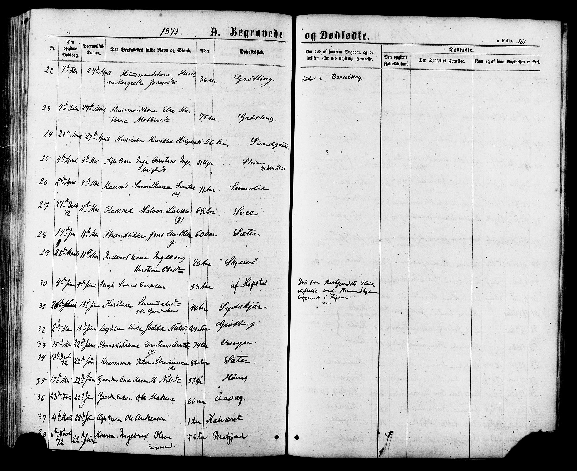 Ministerialprotokoller, klokkerbøker og fødselsregistre - Sør-Trøndelag, SAT/A-1456/657/L0706: Parish register (official) no. 657A07, 1867-1878, p. 361
