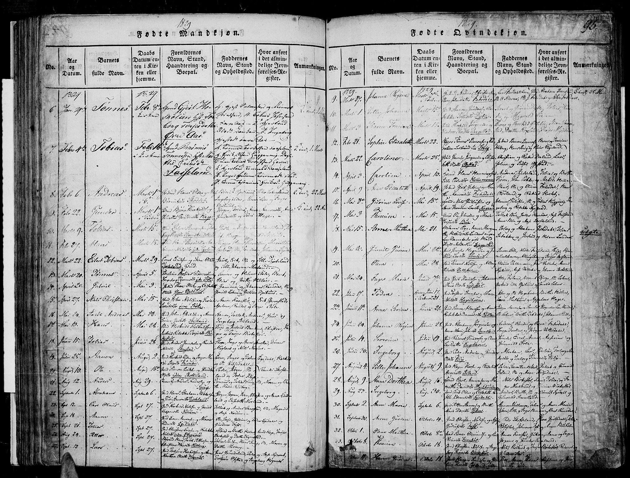 Sør-Audnedal sokneprestkontor, SAK/1111-0039/F/Fa/Fab/L0005: Parish register (official) no. A 5, 1816-1830, p. 95