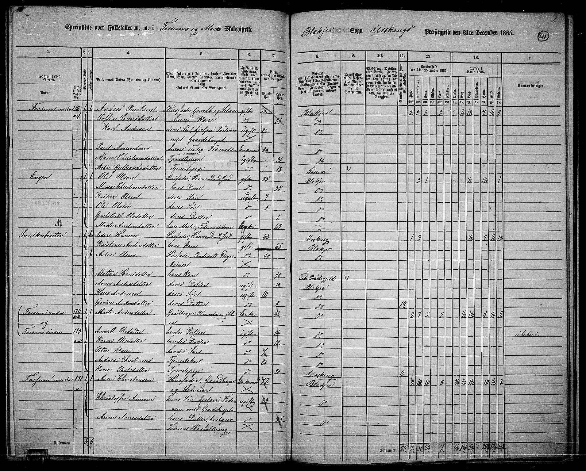 RA, 1865 census for Aurskog, 1865, p. 190