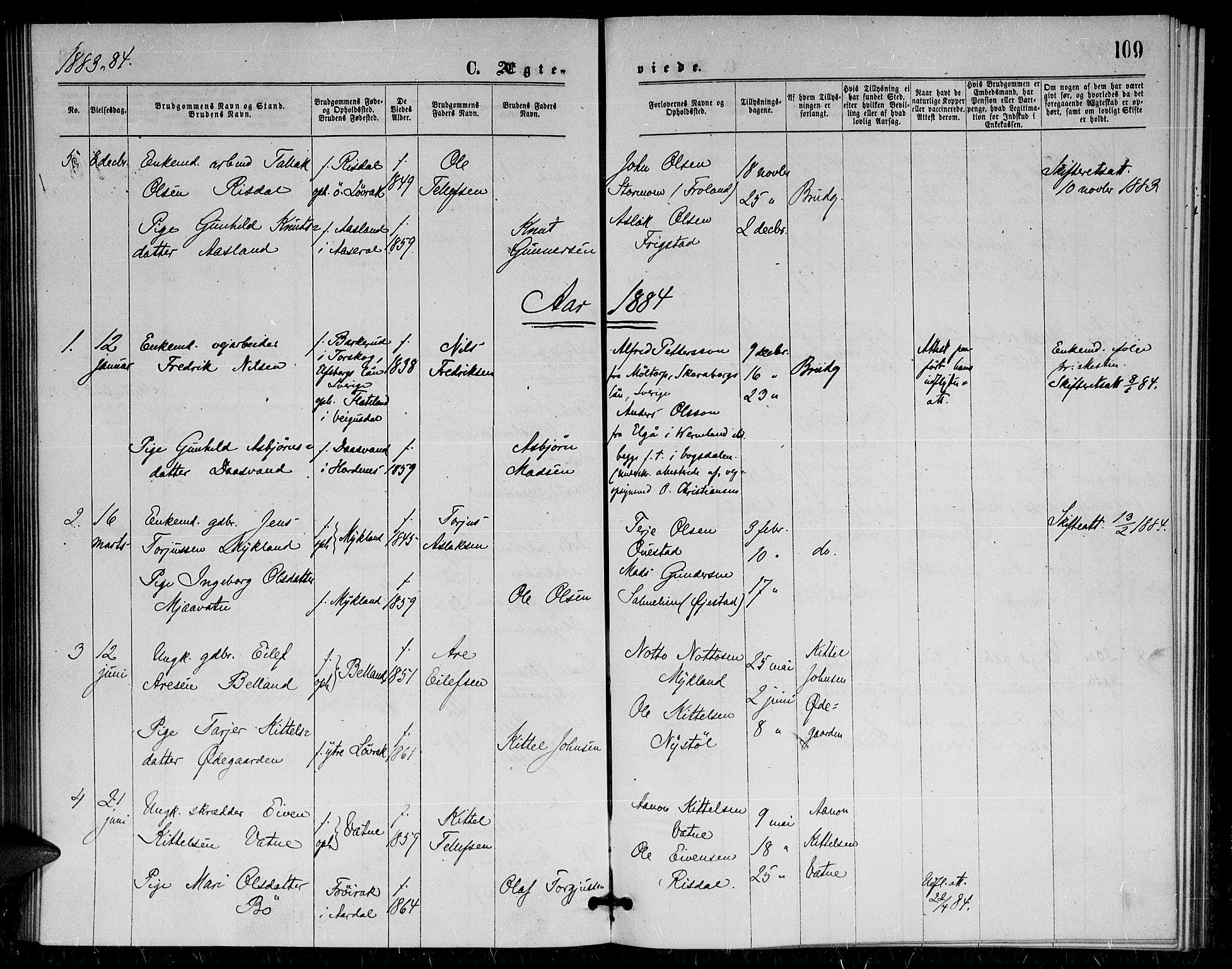 Herefoss sokneprestkontor, AV/SAK-1111-0019/F/Fa/Fac/L0001: Parish register (official) no. A 1, 1871-1886, p. 109