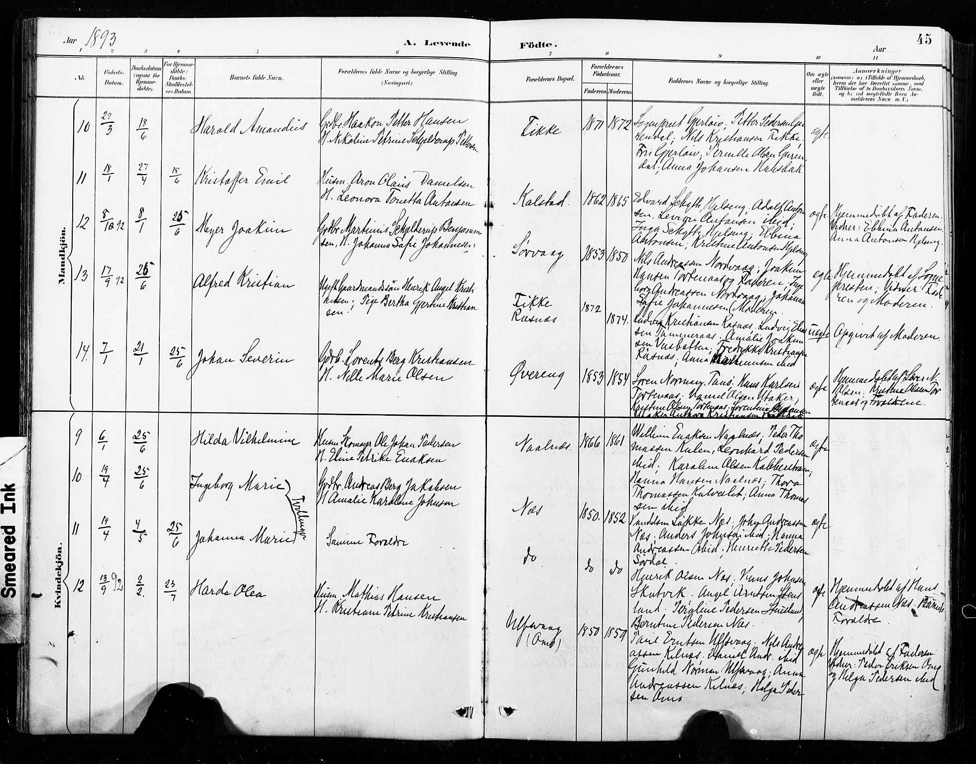 Ministerialprotokoller, klokkerbøker og fødselsregistre - Nordland, SAT/A-1459/859/L0847: Parish register (official) no. 859A07, 1890-1899, p. 45