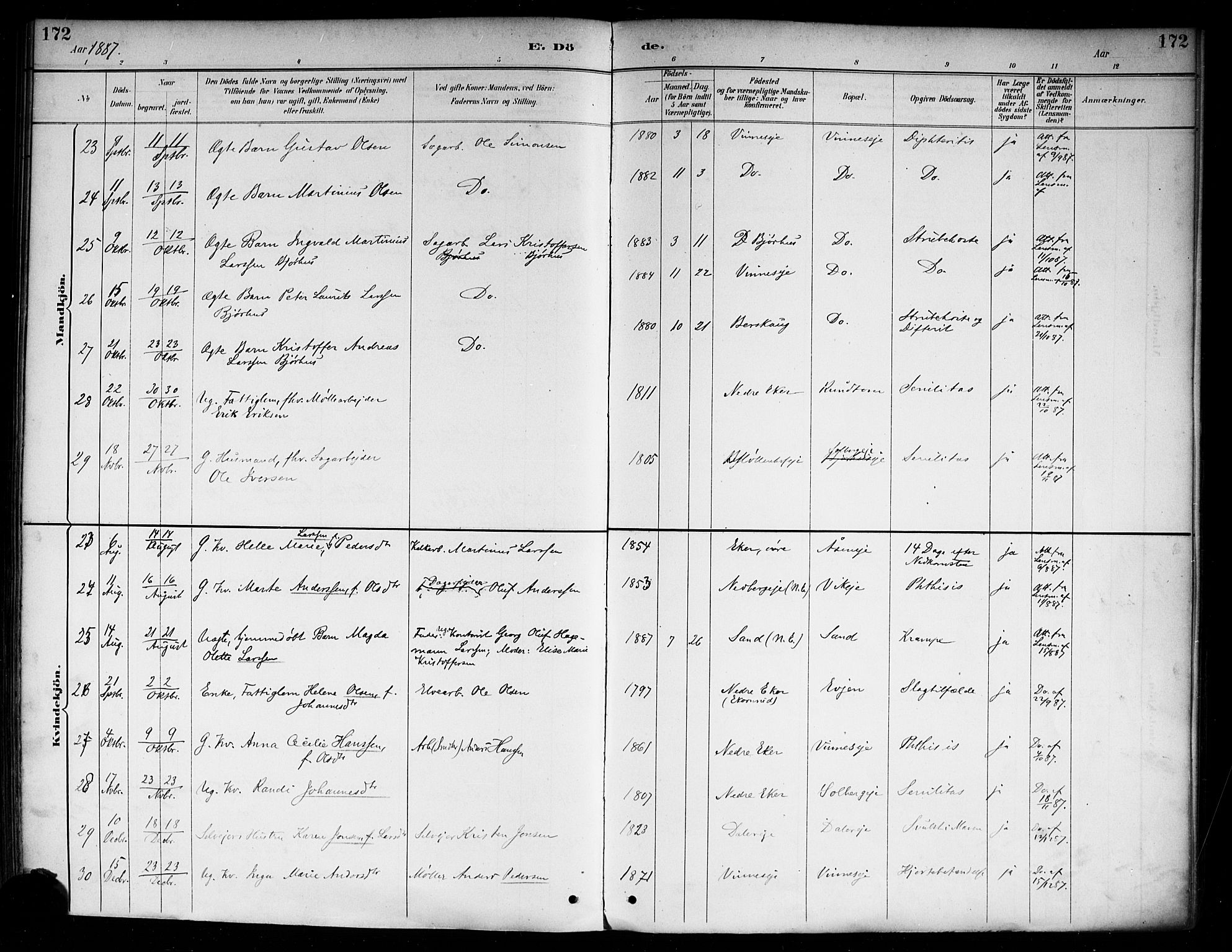 Nedre Eiker kirkebøker, AV/SAKO-A-612/F/Fa/L0003: Parish register (official) no. 3, 1885-1892, p. 172