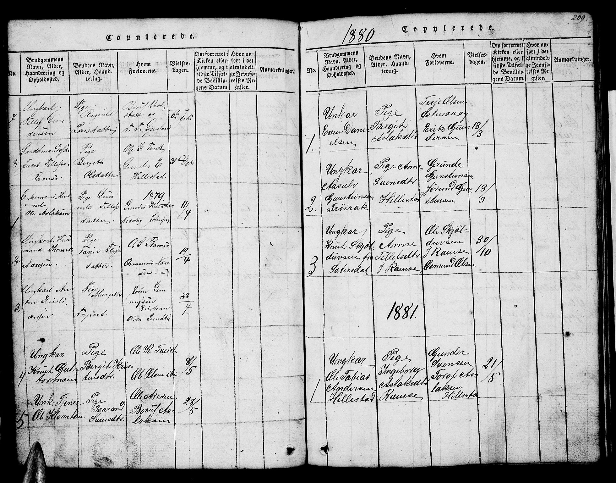 Åmli sokneprestkontor, AV/SAK-1111-0050/F/Fb/Fbb/L0001: Parish register (copy) no. B 1, 1816-1889, p. 209