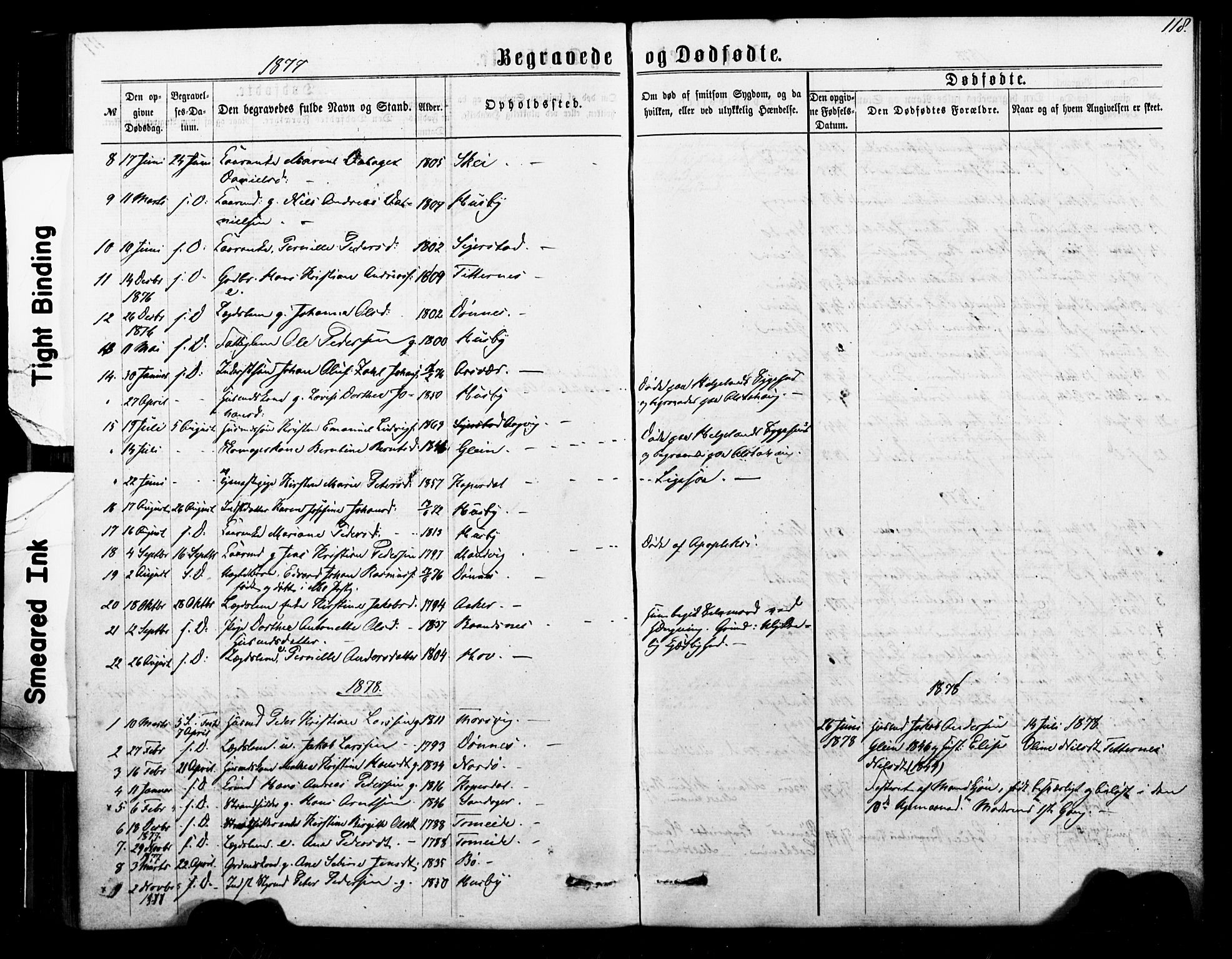 Ministerialprotokoller, klokkerbøker og fødselsregistre - Nordland, AV/SAT-A-1459/835/L0524: Parish register (official) no. 835A02, 1865-1880, p. 118