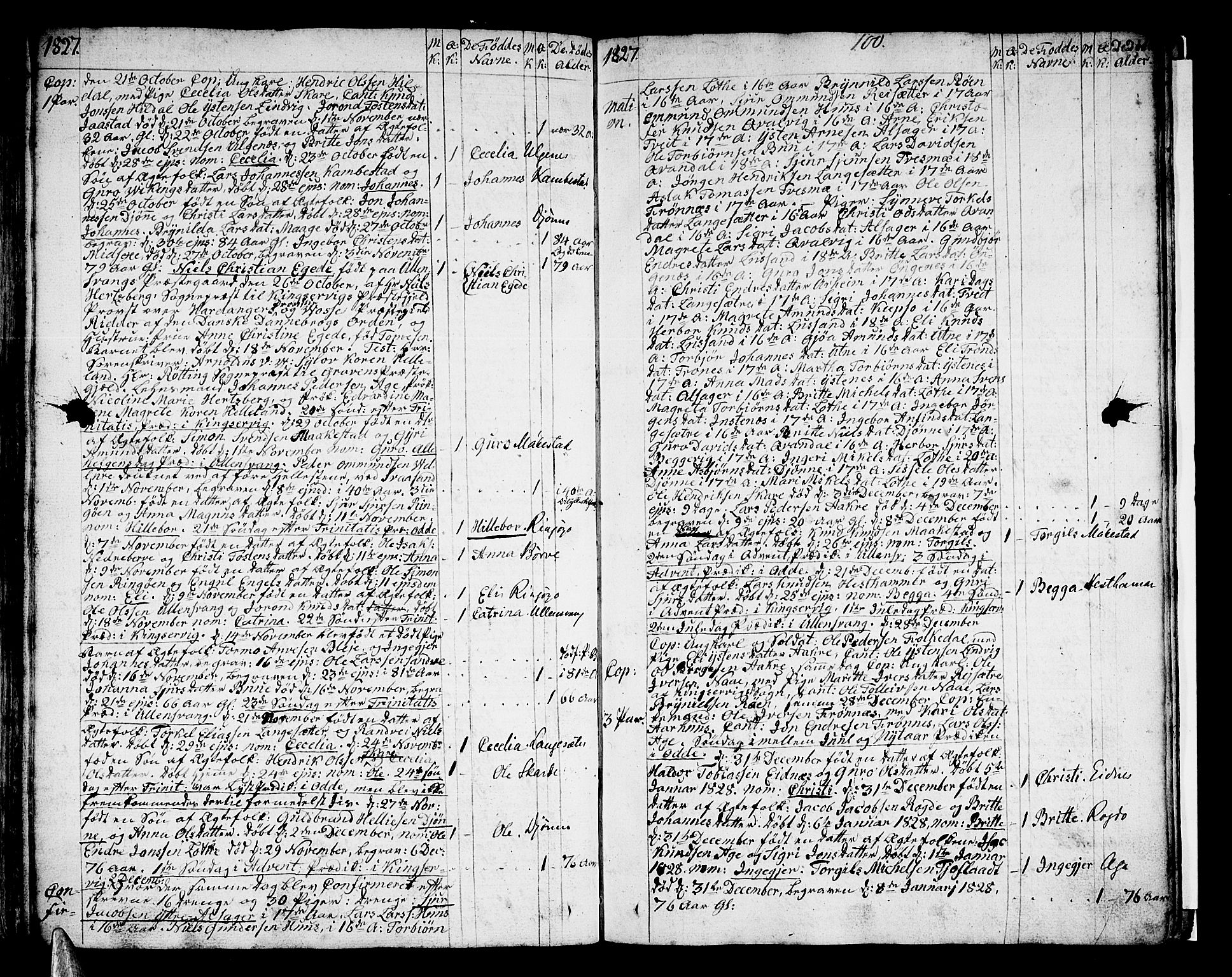 Ullensvang sokneprestembete, SAB/A-78701/H/Haa: Parish register (official) no. A 8, 1804-1835, p. 100