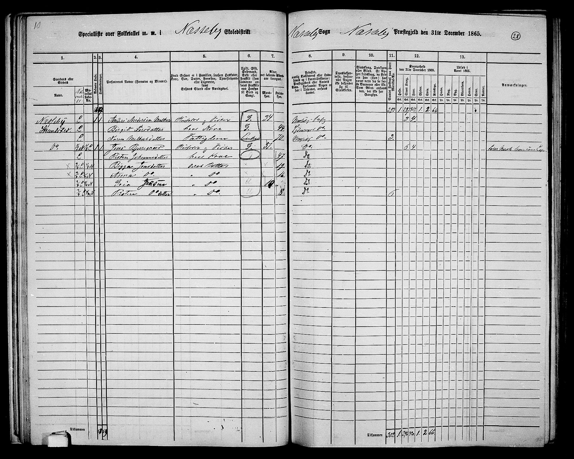 RA, 1865 census for Nesseby, 1865, p. 24