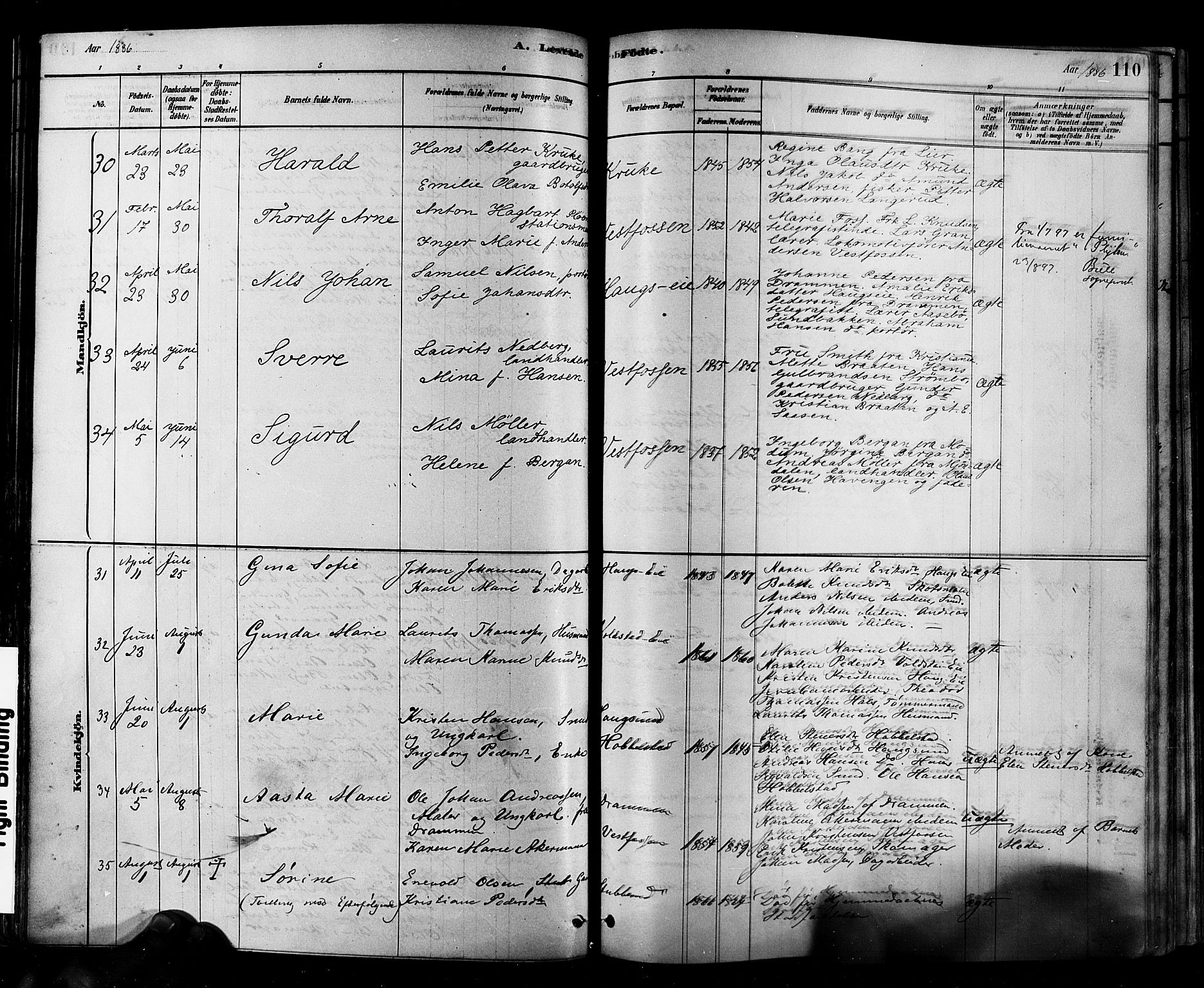 Eiker kirkebøker, SAKO/A-4/F/Fb/L0001: Parish register (official) no. II 1, 1878-1888, p. 110