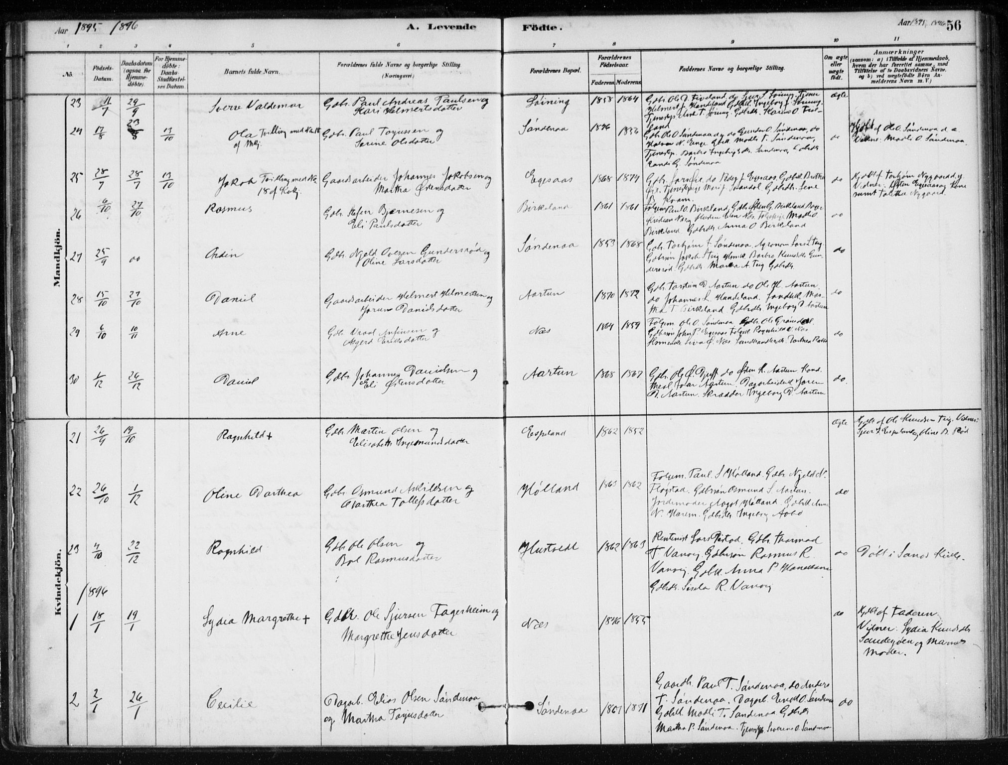 Sand sokneprestkontor, AV/SAST-A-101848/01/III/L0006: Parish register (official) no. A 6, 1880-1898, p. 56