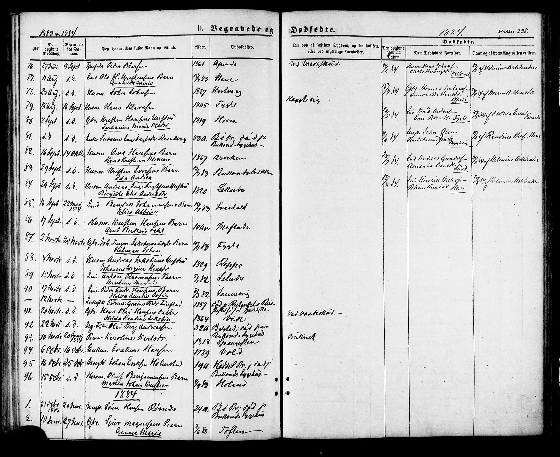 Ministerialprotokoller, klokkerbøker og fødselsregistre - Nordland, AV/SAT-A-1459/881/L1166: Parish register (copy) no. 881C03, 1876-1885, p. 205