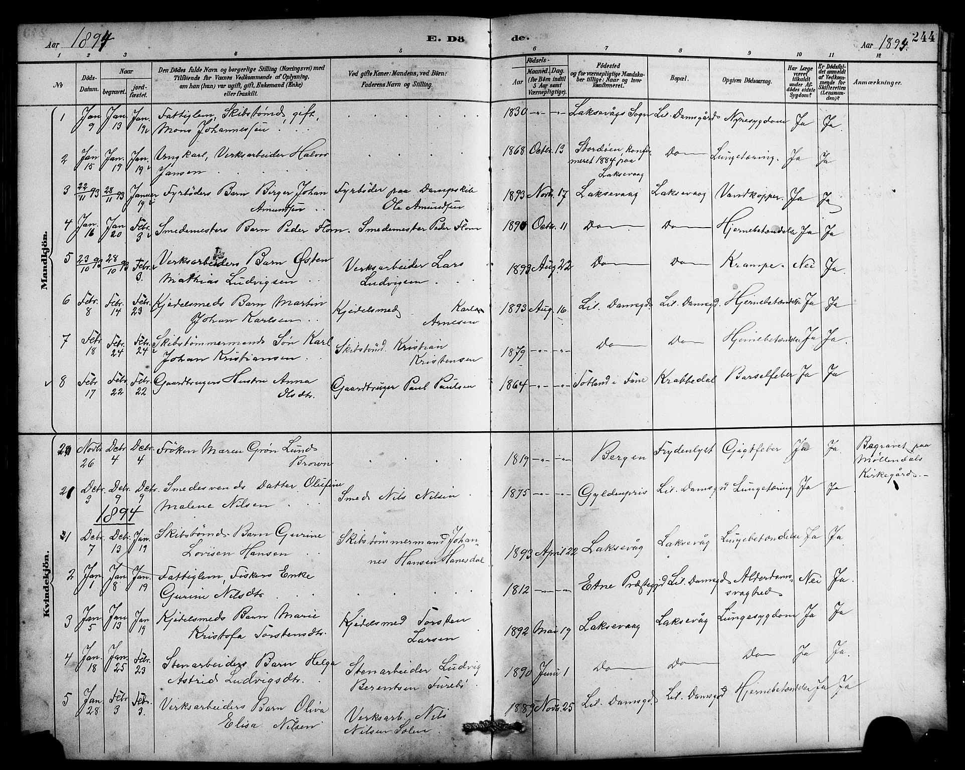 Laksevåg Sokneprestembete, SAB/A-76501/H/Ha/Hab/Haba/L0003: Parish register (copy) no. A 3, 1887-1899, p. 244