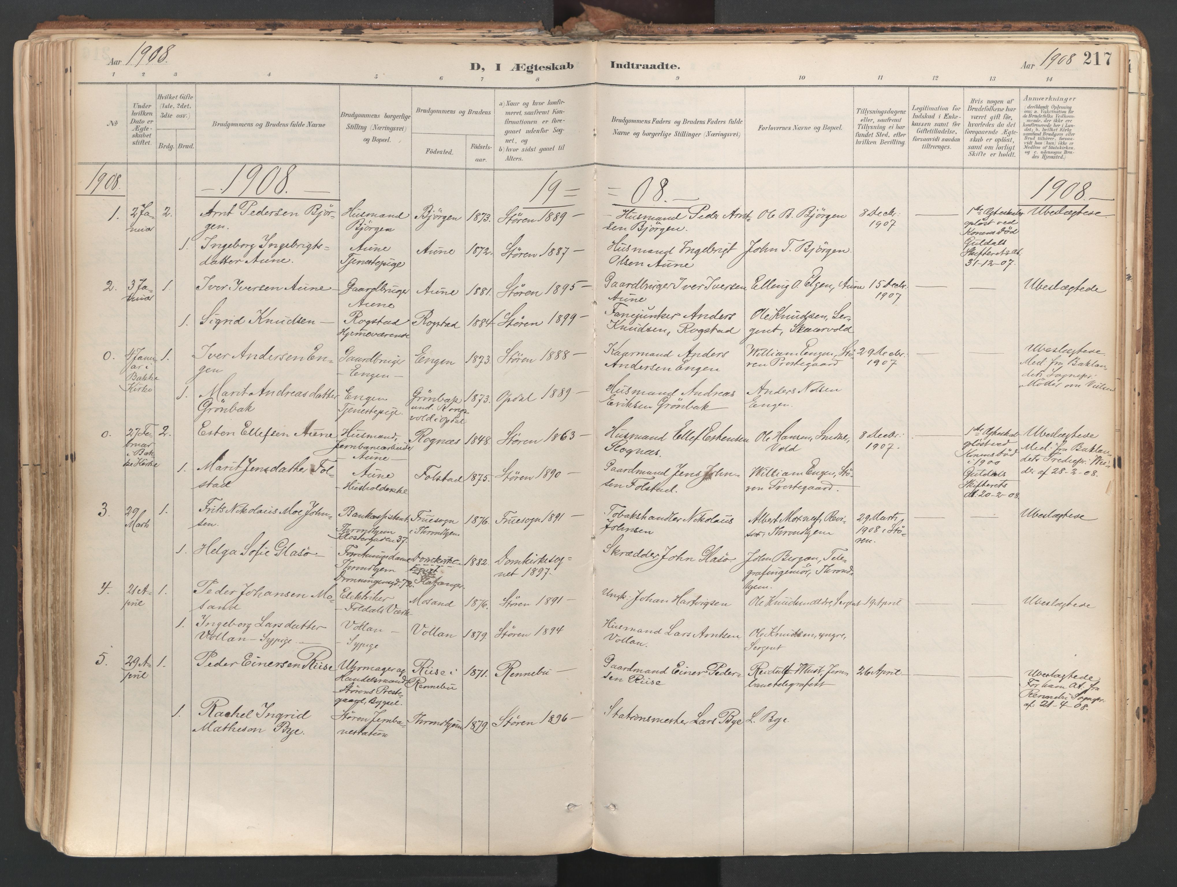 Ministerialprotokoller, klokkerbøker og fødselsregistre - Sør-Trøndelag, SAT/A-1456/687/L1004: Parish register (official) no. 687A10, 1891-1923, p. 217