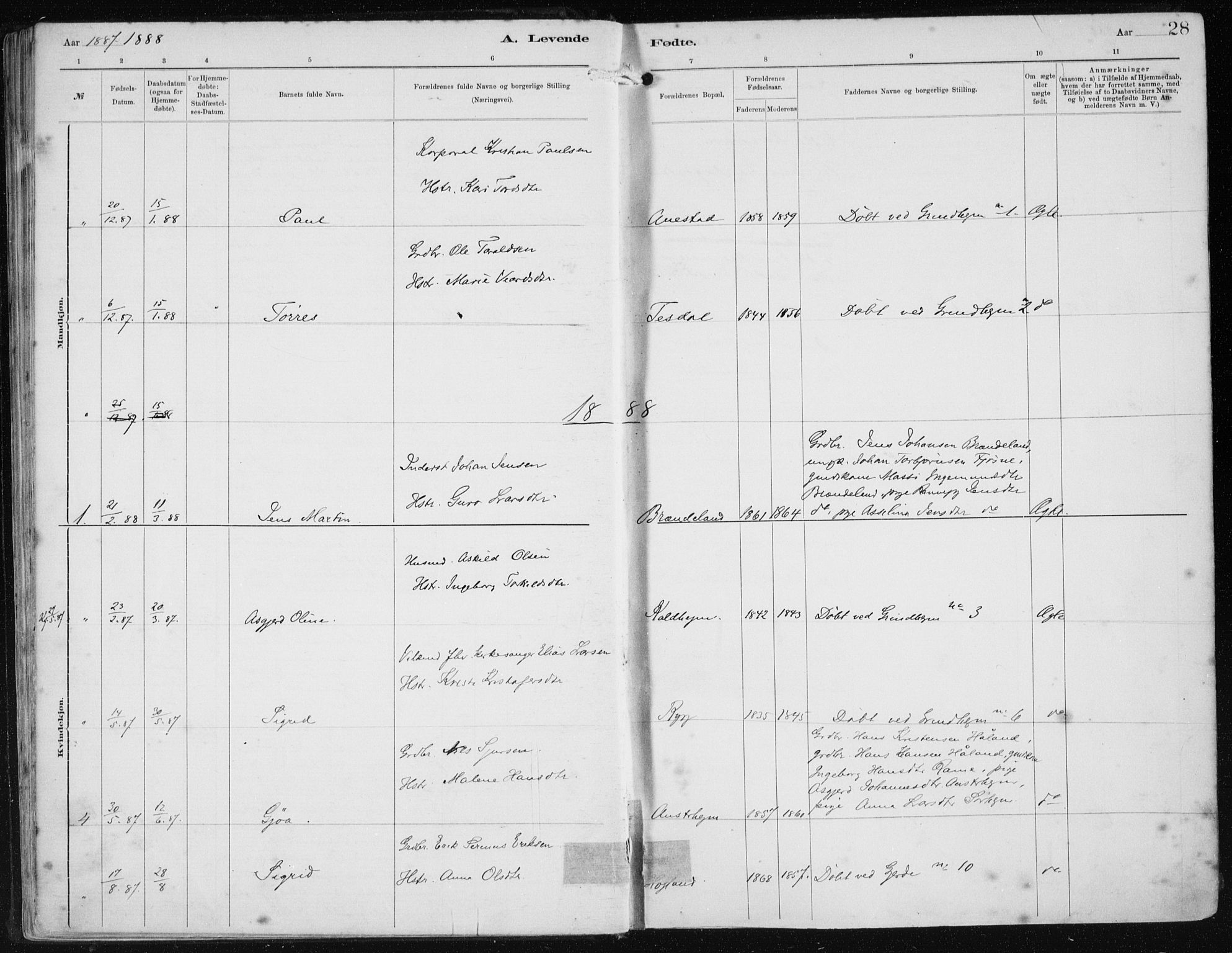 Etne sokneprestembete, AV/SAB-A-75001/H/Haa: Parish register (official) no. B  1, 1879-1919, p. 28