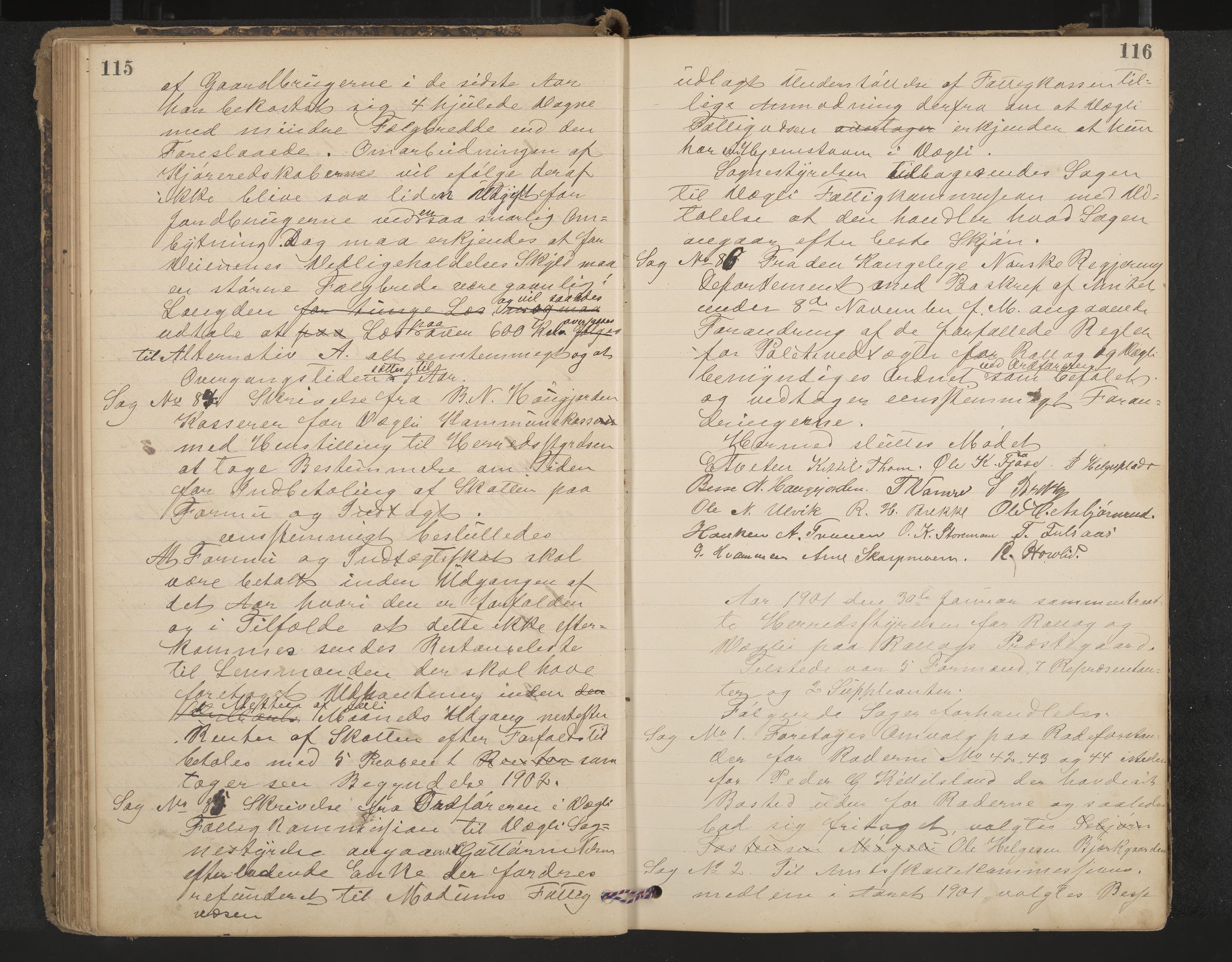 Rollag formannskap og sentraladministrasjon, IKAK/0632021-2/A/Aa/L0004: Møtebok, 1897-1909, p. 115-116