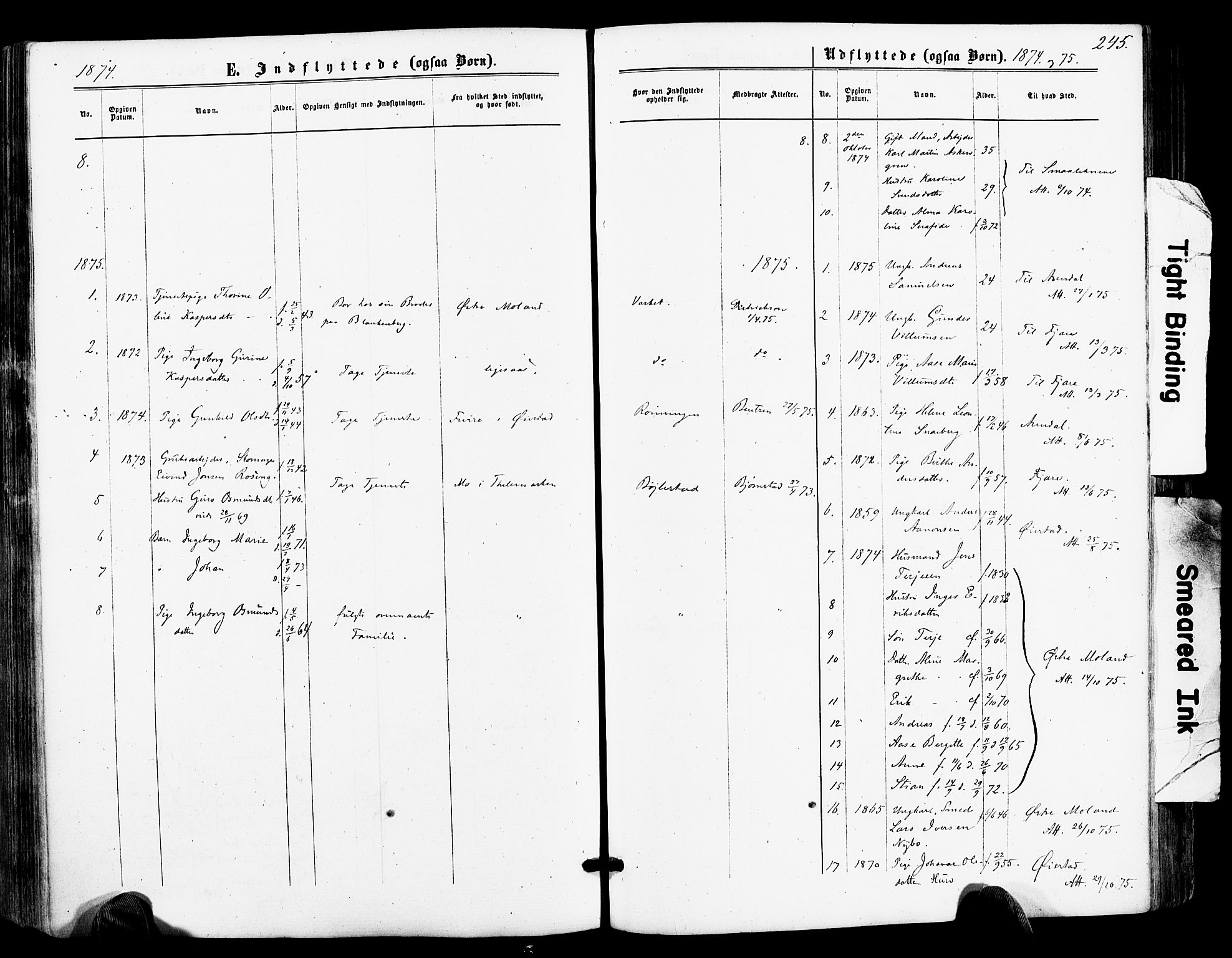 Froland sokneprestkontor, AV/SAK-1111-0013/F/Fa/L0003: Parish register (official) no. A 3, 1864-1881, p. 245