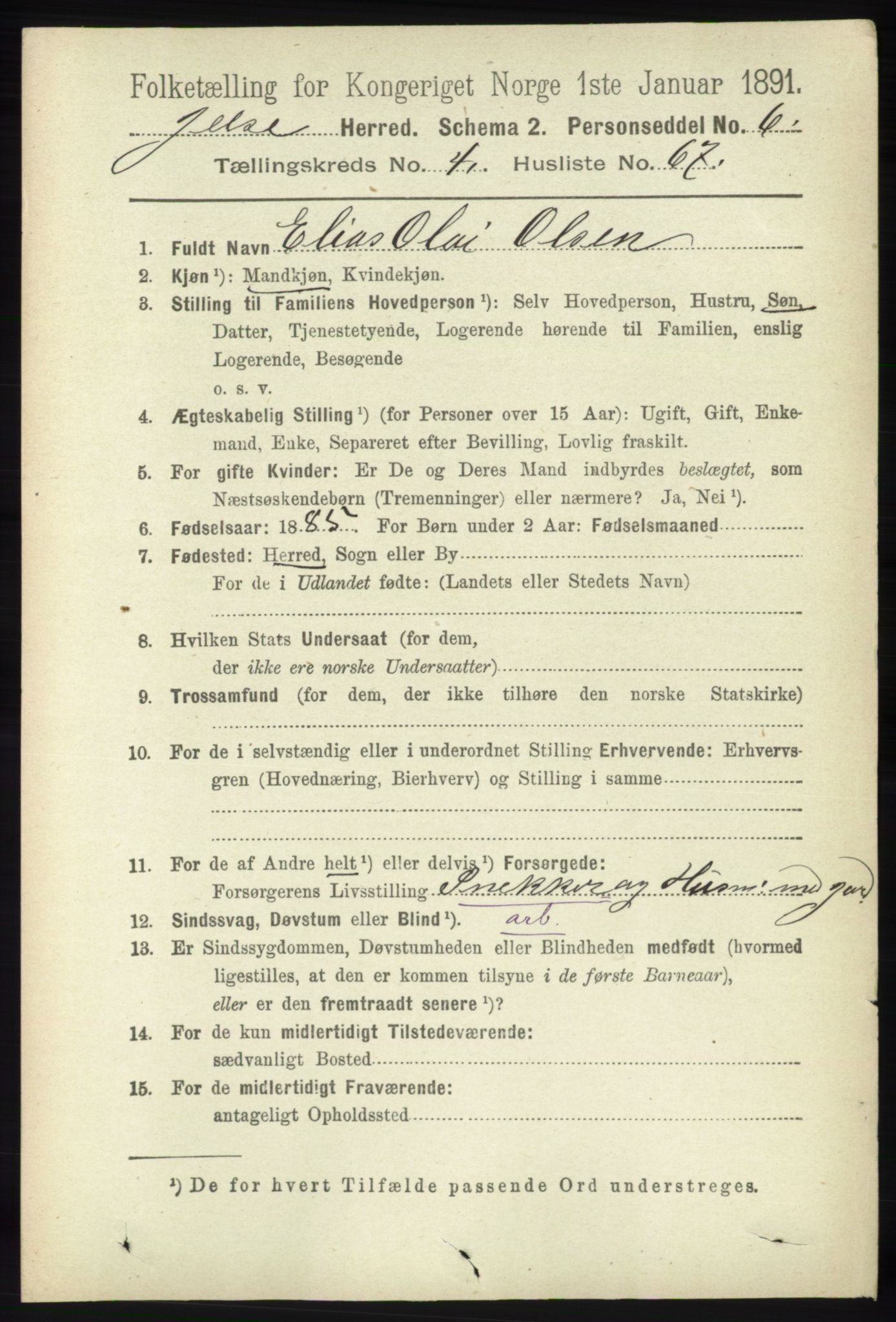 RA, 1891 census for 1138 Jelsa, 1891, p. 1029