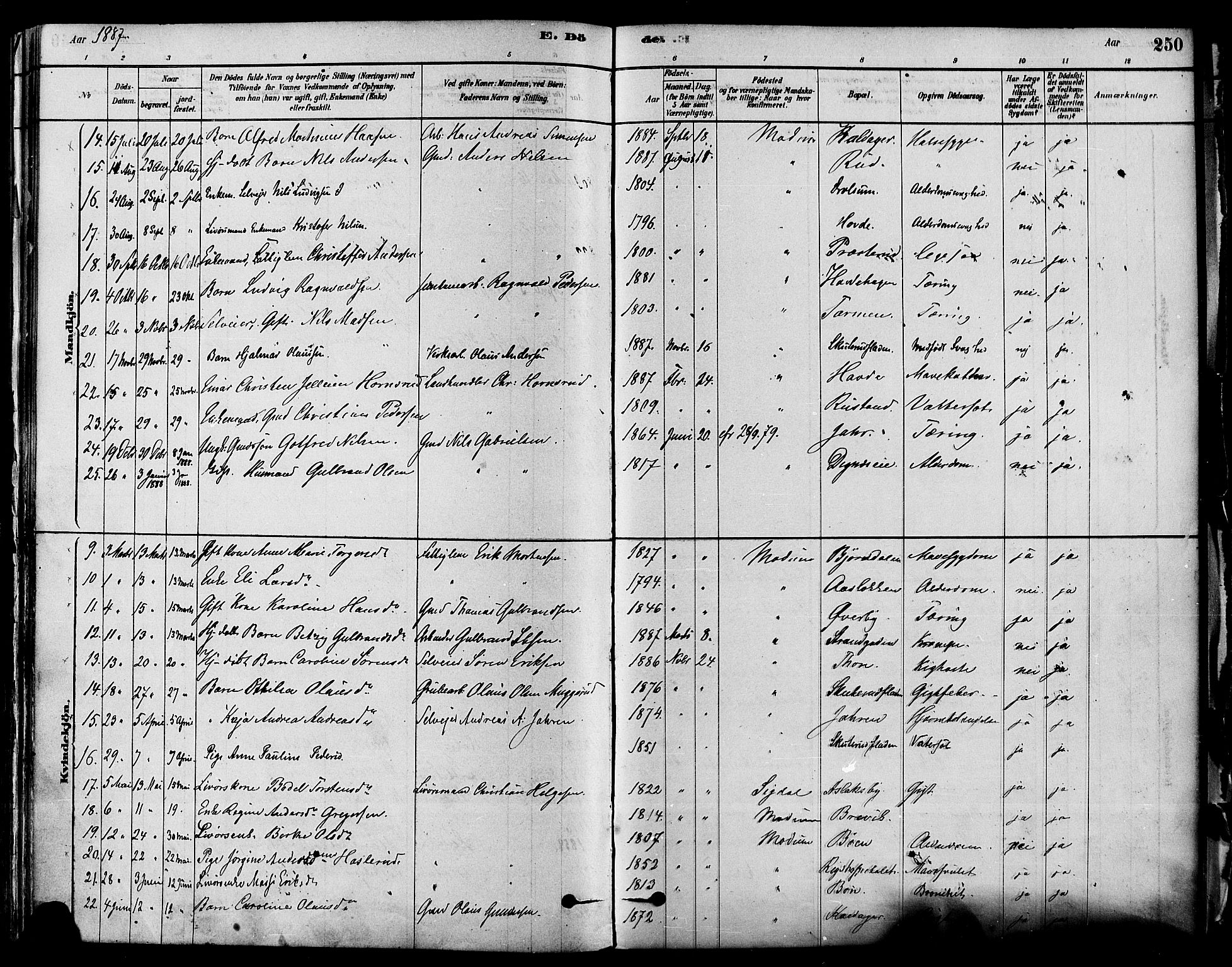 Modum kirkebøker, SAKO/A-234/F/Fa/L0011: Parish register (official) no. 11, 1877-1889, p. 250