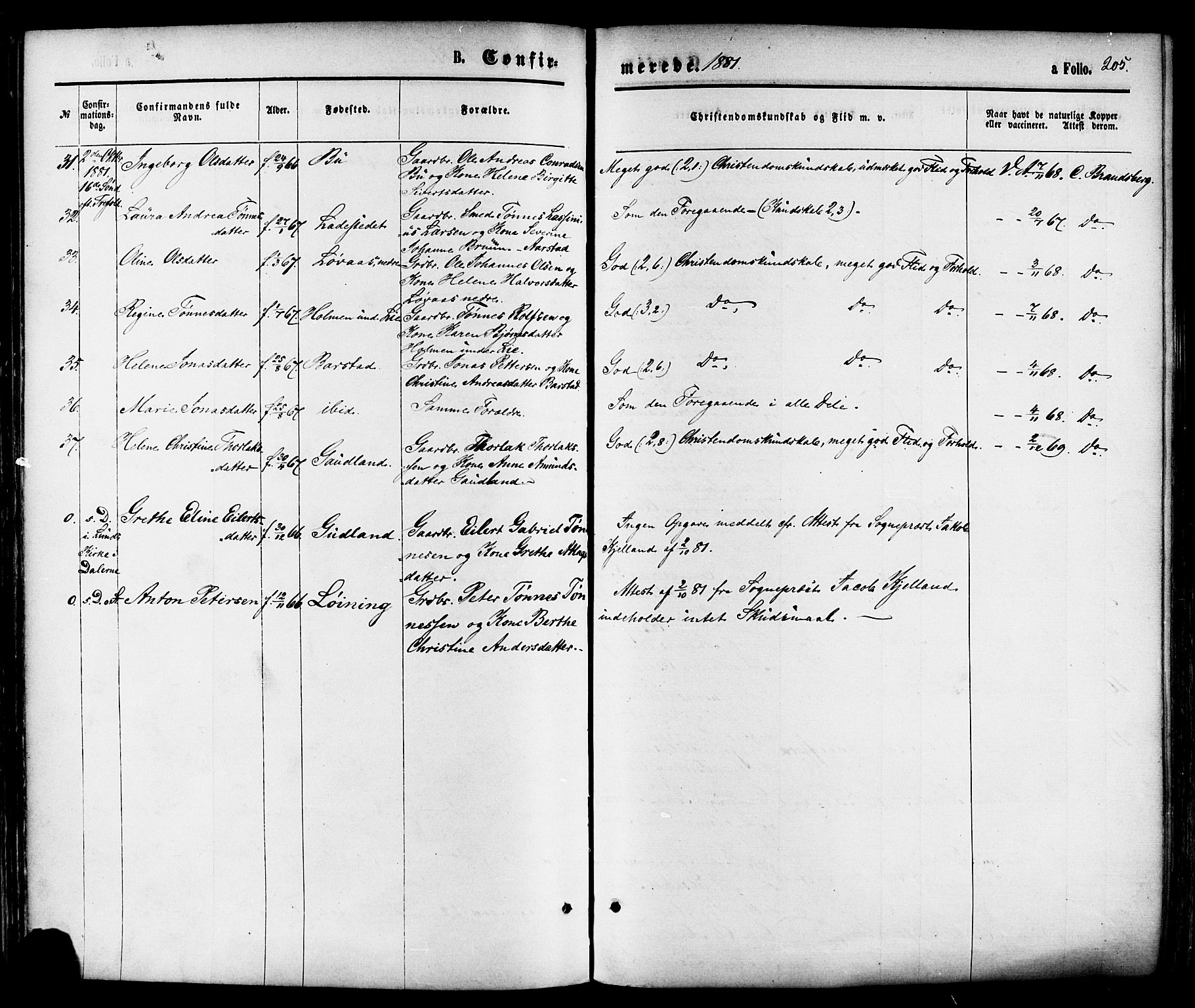 Sokndal sokneprestkontor, AV/SAST-A-101808: Parish register (official) no. A 10, 1874-1886, p. 205