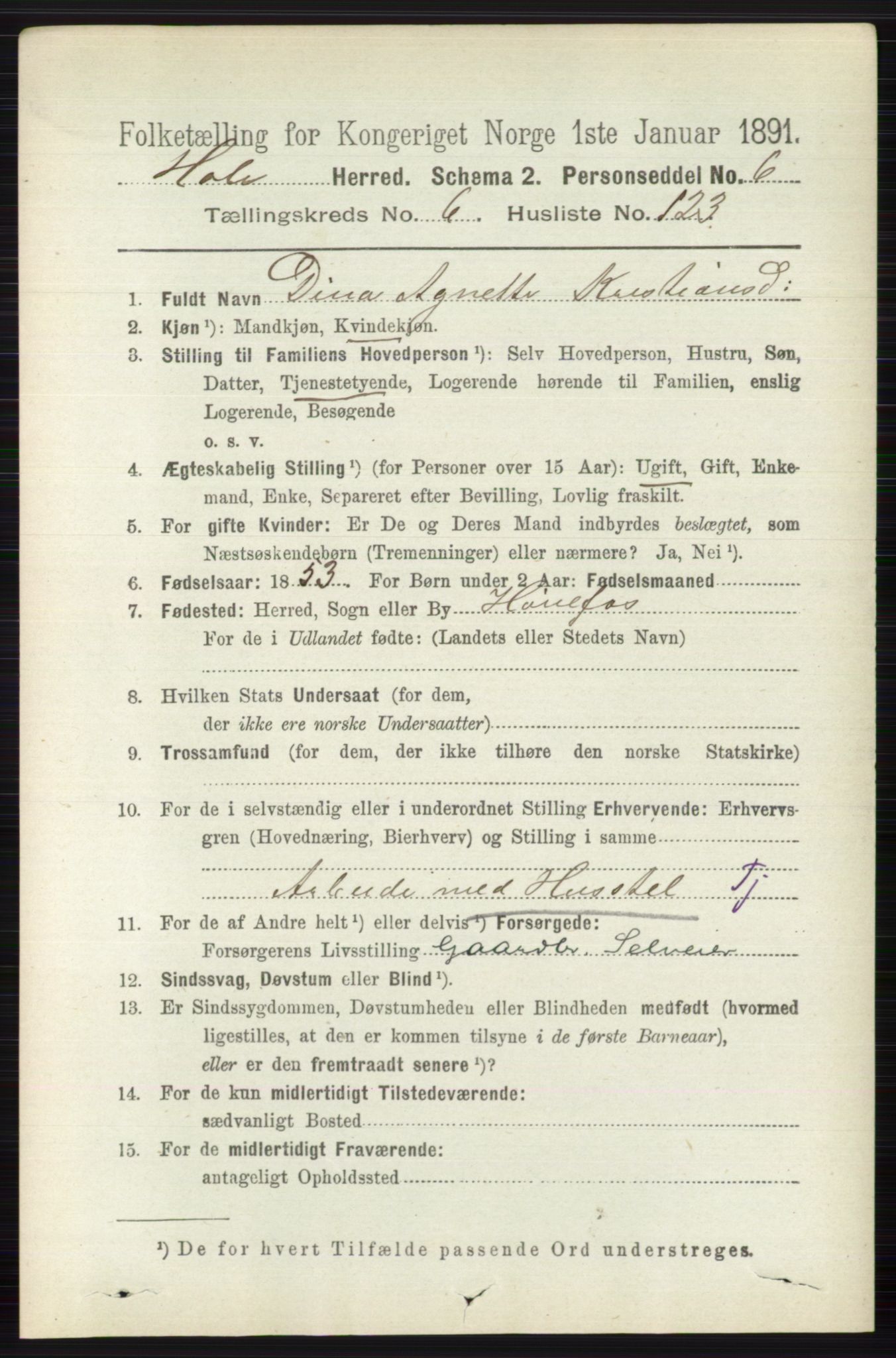 RA, 1891 census for 0612 Hole, 1891, p. 3872