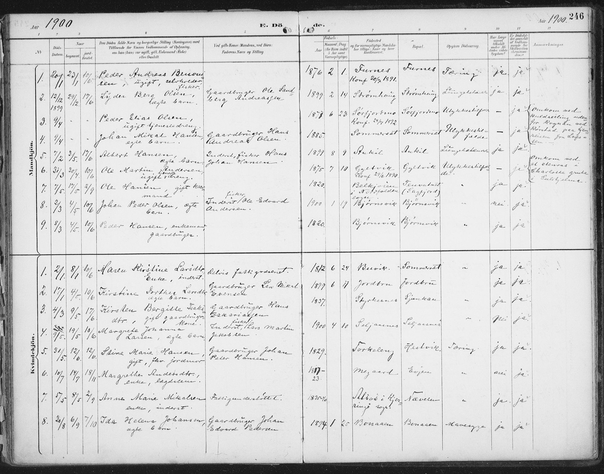 Ministerialprotokoller, klokkerbøker og fødselsregistre - Nordland, SAT/A-1459/854/L0779: Parish register (official) no. 854A02, 1892-1909, p. 246