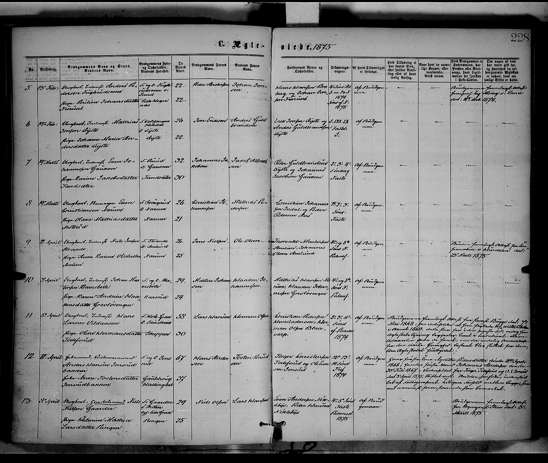 Vestre Toten prestekontor, SAH/PREST-108/H/Ha/Haa/L0008: Parish register (official) no. 8, 1870-1877, p. 228