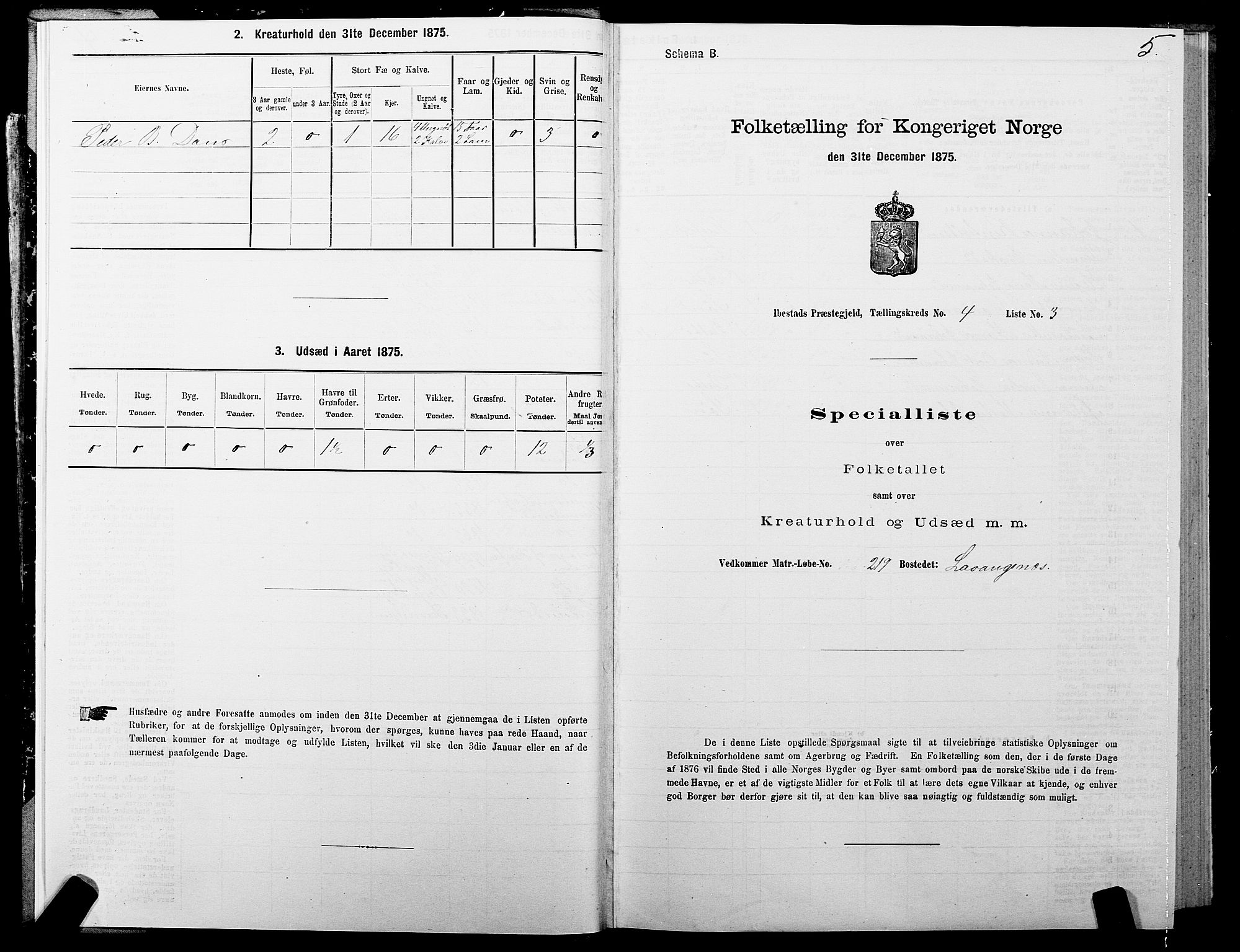 SATØ, 1875 census for 1917P Ibestad, 1875, p. 3005