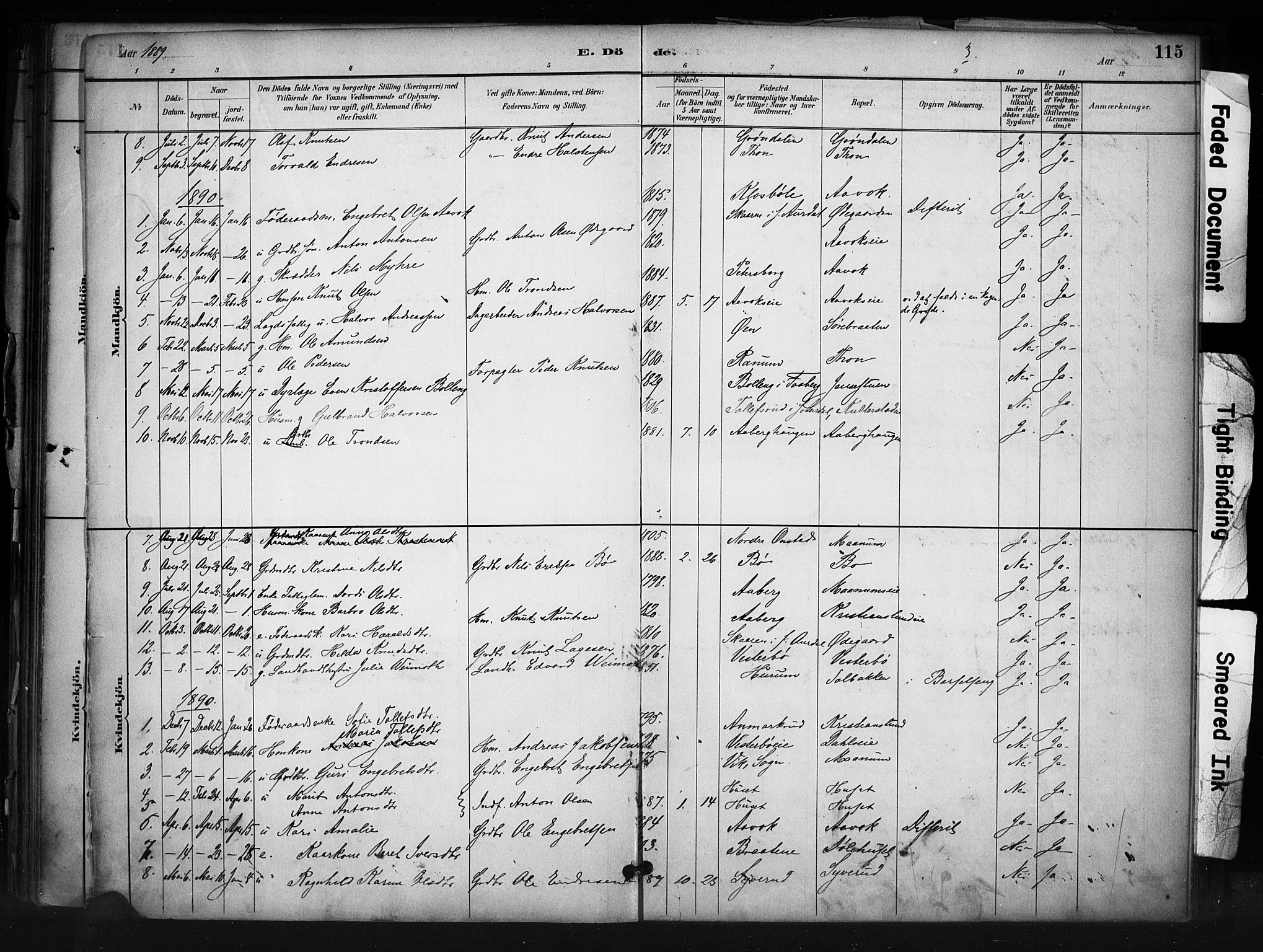 Nord-Aurdal prestekontor, AV/SAH-PREST-132/H/Ha/Haa/L0013: Parish register (official) no. 13, 1883-1895, p. 115