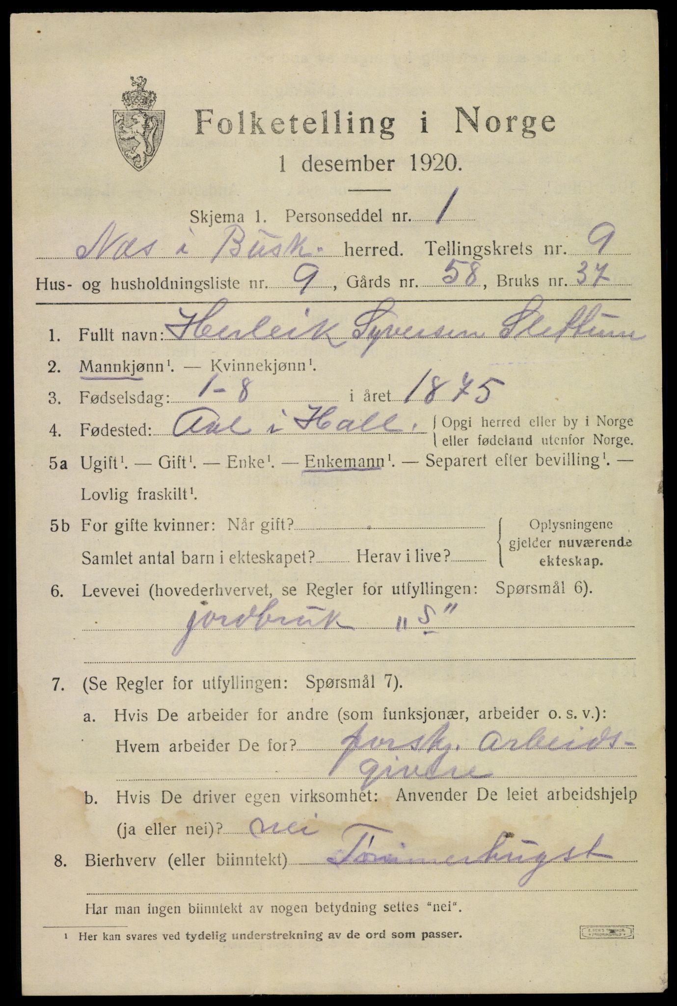 SAKO, 1920 census for Nes (Buskerud), 1920, p. 5924