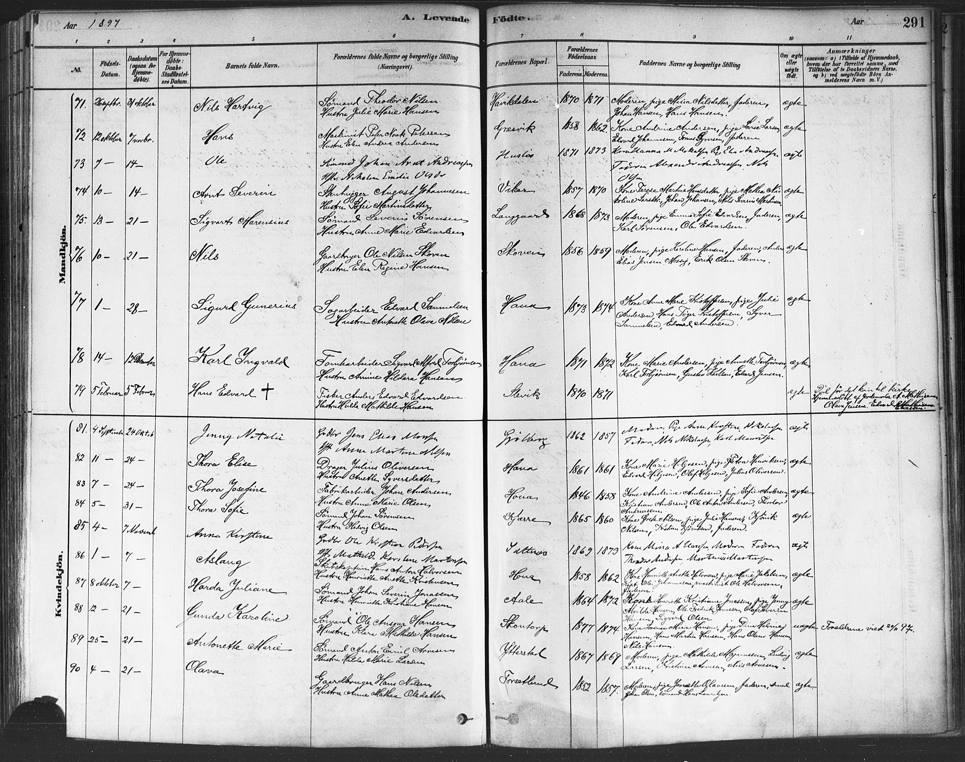 Onsøy prestekontor Kirkebøker, SAO/A-10914/F/Fa/L0005: Parish register (official) no. I 5, 1878-1898, p. 291