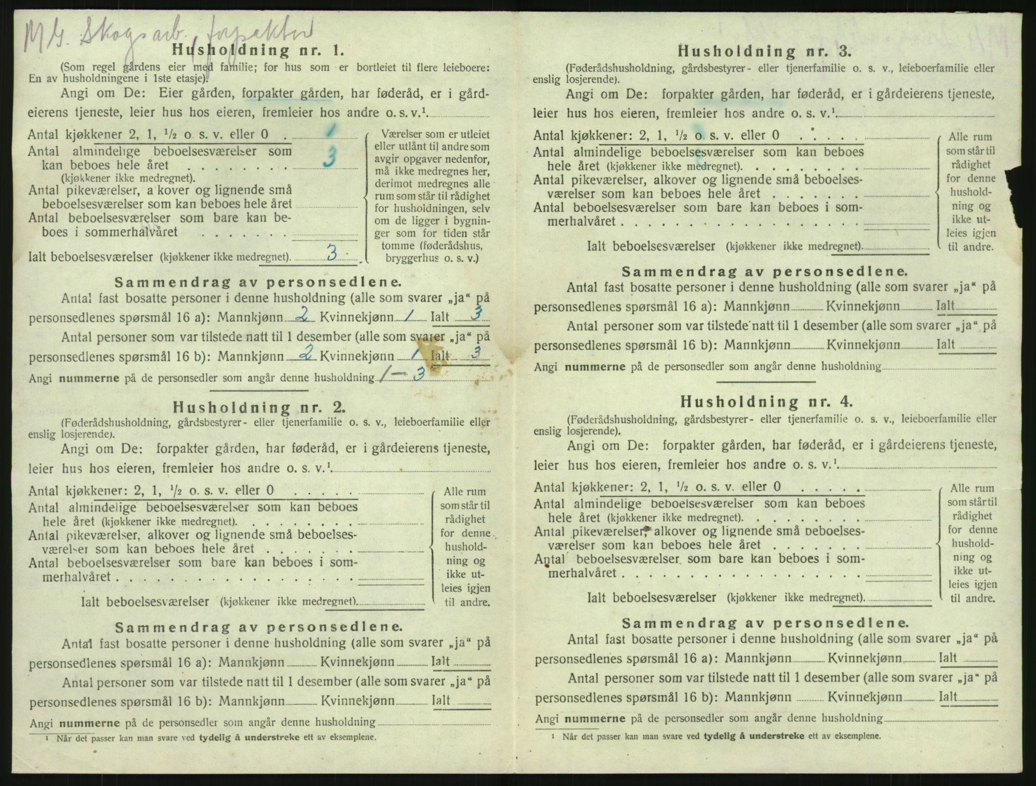 SAKO, 1920 census for Brunlanes, 1920, p. 818