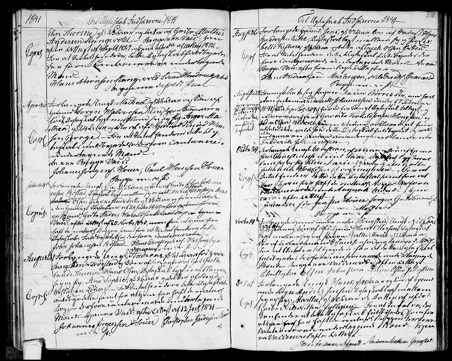 Råde prestekontor kirkebøker, AV/SAO-A-2009/F/Fa/L0003: Parish register (official) no. 3, 1806-1814, p. 210