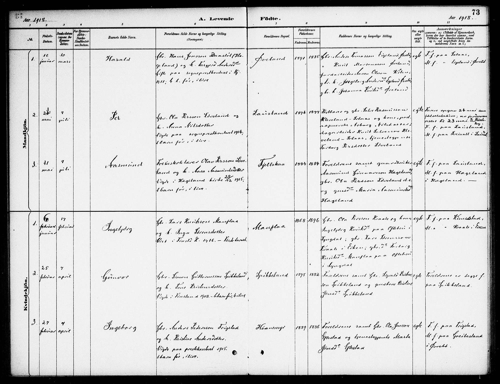 Bjelland sokneprestkontor, AV/SAK-1111-0005/F/Fa/Fab/L0004: Parish register (official) no. A 4, 1887-1920, p. 73