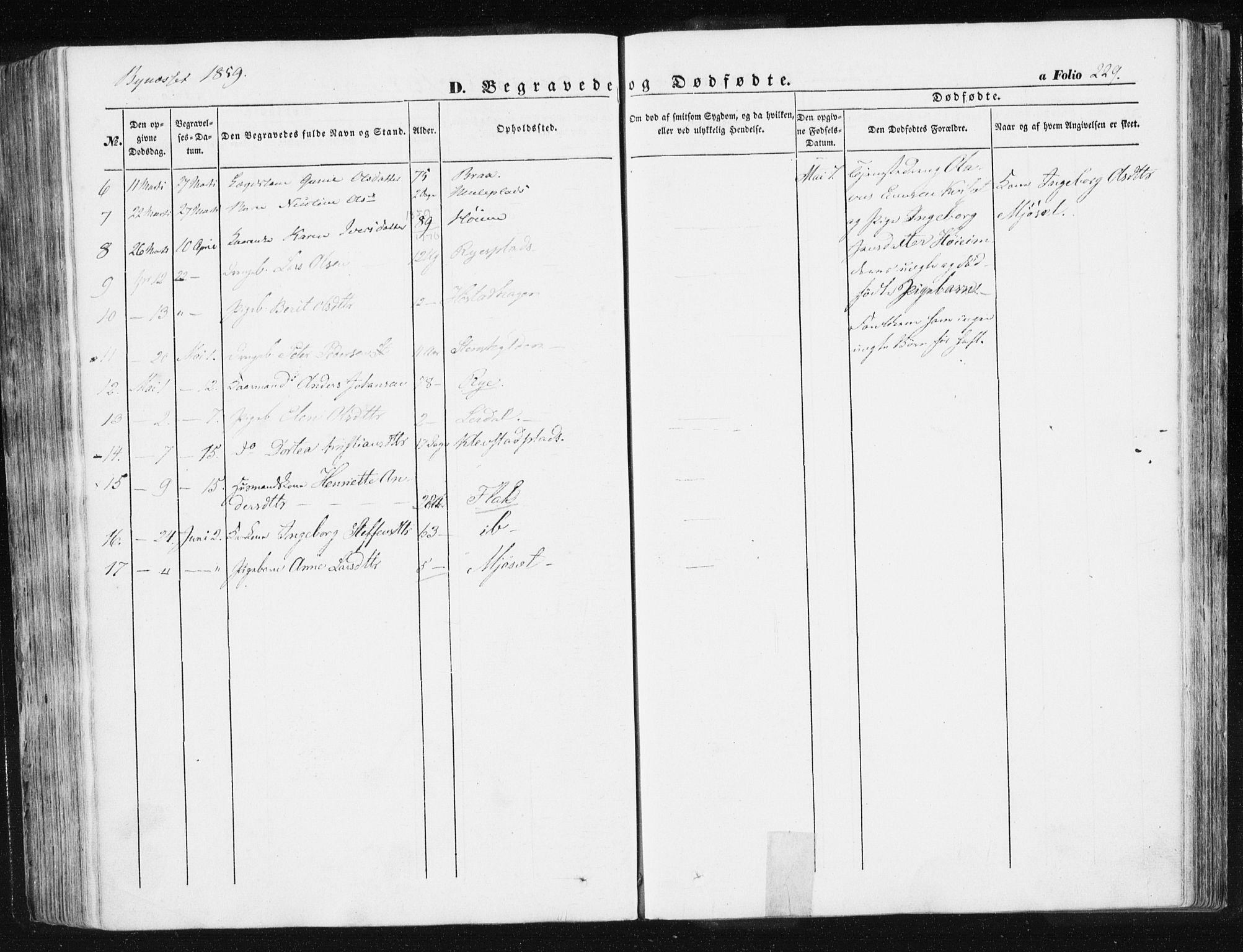 Ministerialprotokoller, klokkerbøker og fødselsregistre - Sør-Trøndelag, AV/SAT-A-1456/612/L0376: Parish register (official) no. 612A08, 1846-1859, p. 229