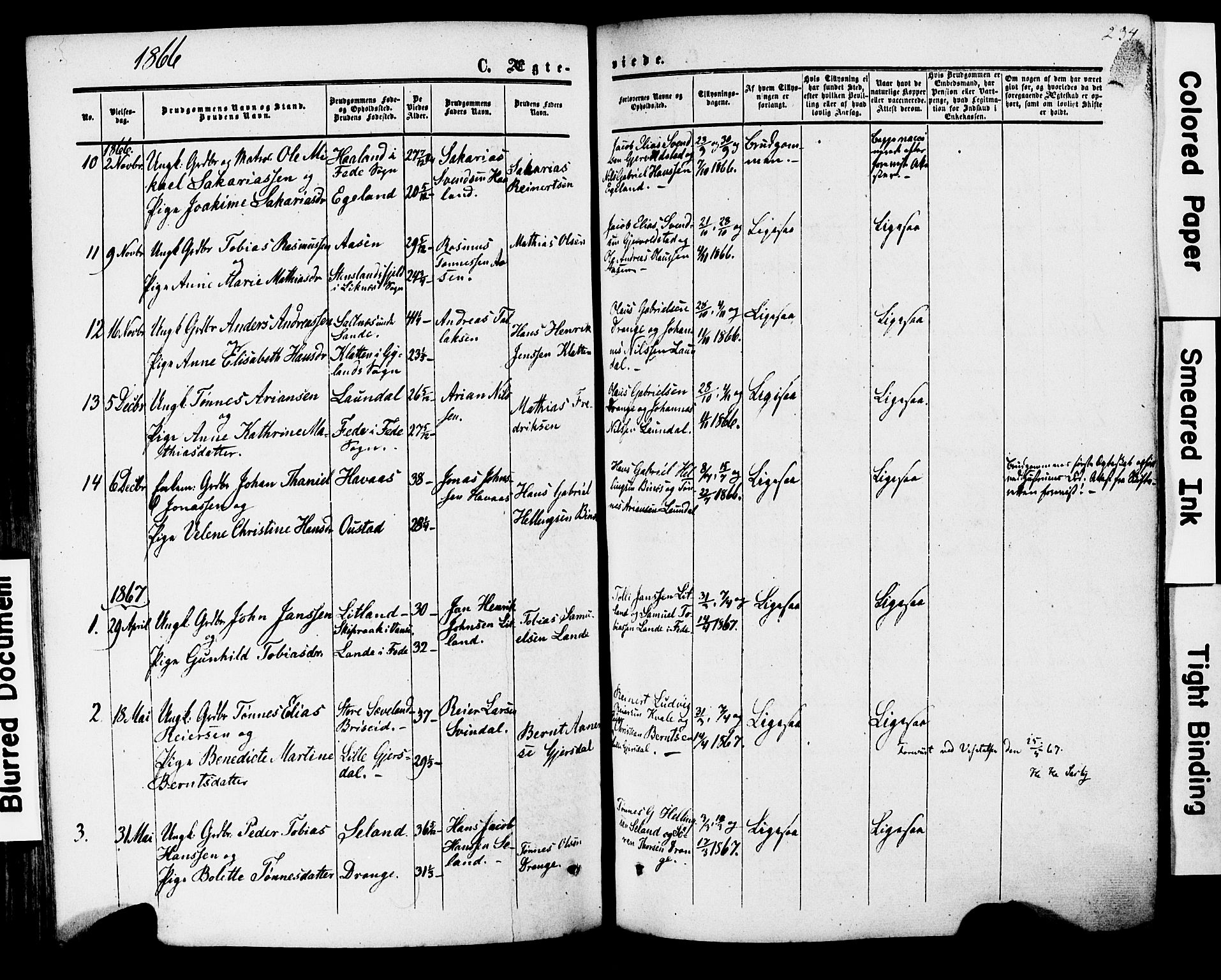 Herad sokneprestkontor, AV/SAK-1111-0018/F/Fa/Faa/L0005: Parish register (official) no. A 5, 1853-1886, p. 234