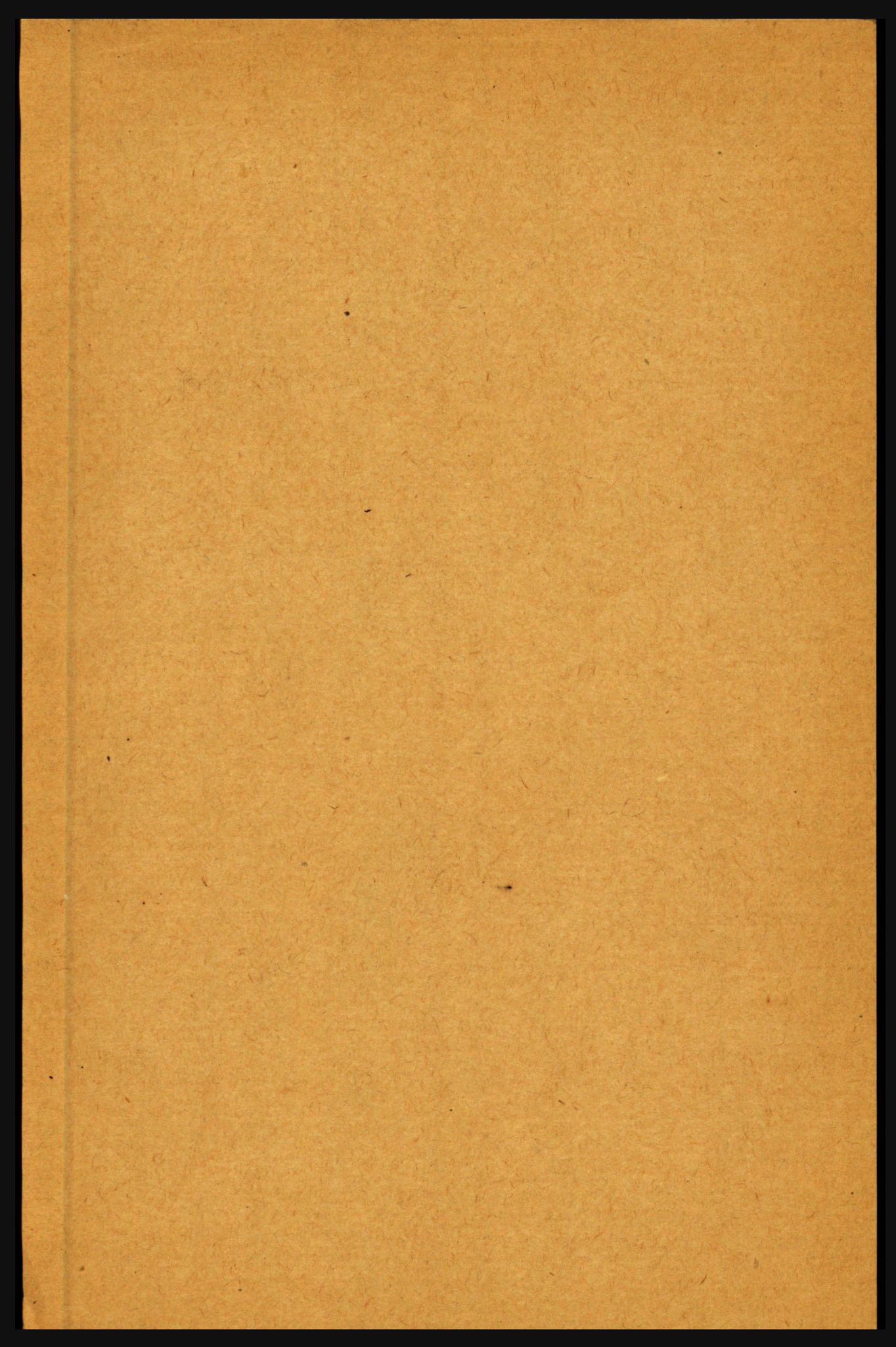 RA, 1891 census for 1411 Gulen, 1891, p. 82