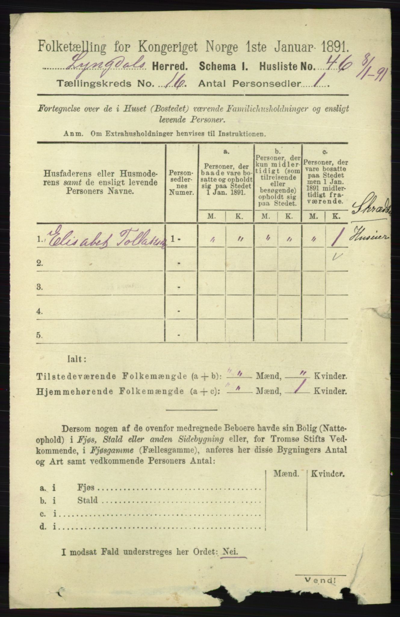 RA, 1891 census for 1032 Lyngdal, 1891, p. 6258