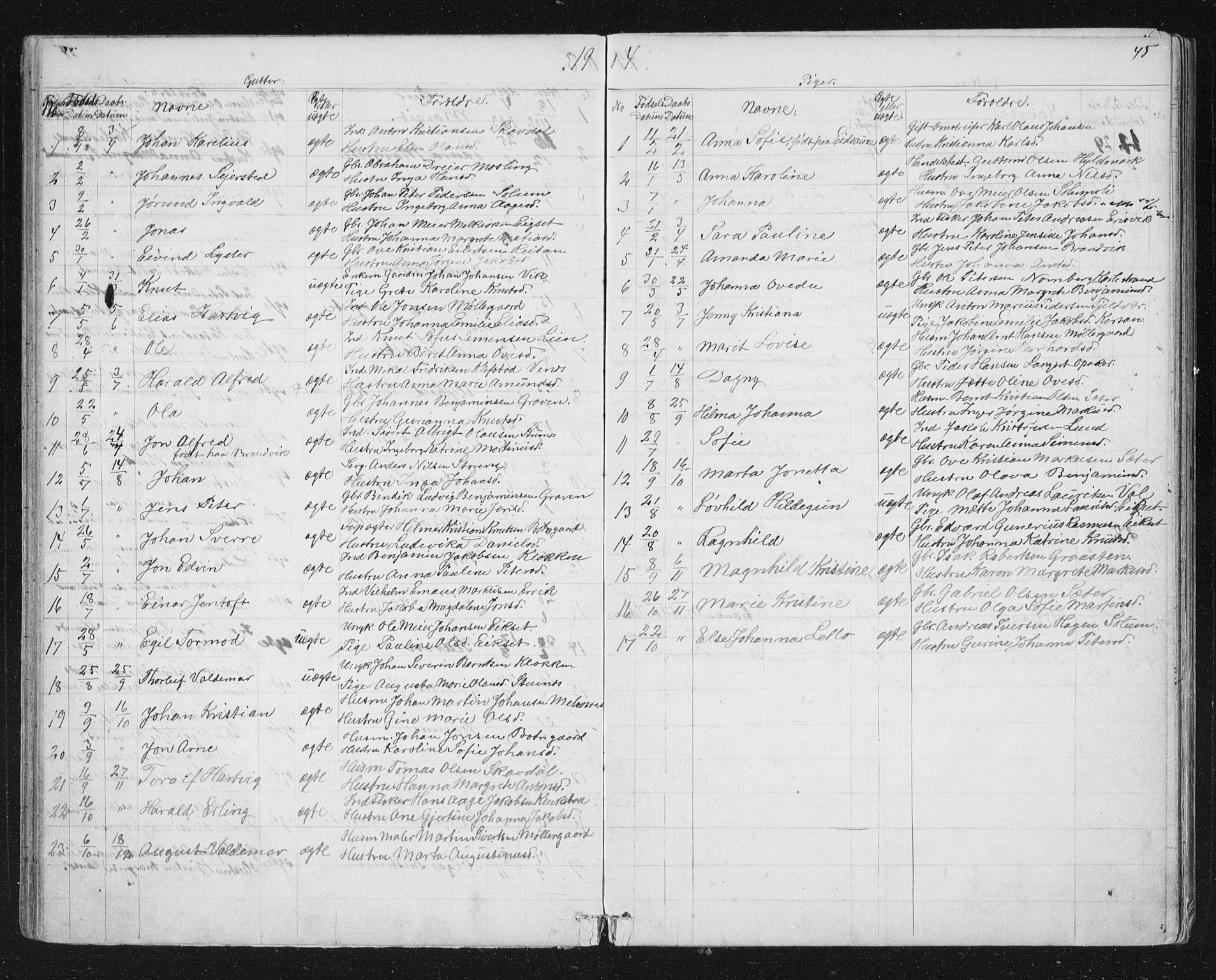 Ministerialprotokoller, klokkerbøker og fødselsregistre - Sør-Trøndelag, SAT/A-1456/651/L0647: Parish register (copy) no. 651C01, 1866-1914, p. 45