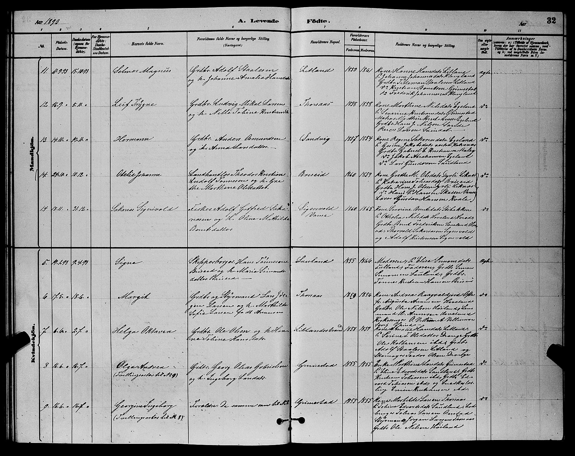 Herad sokneprestkontor, AV/SAK-1111-0018/F/Fb/Fba/L0004: Parish register (copy) no. B 4, 1882-1899, p. 32