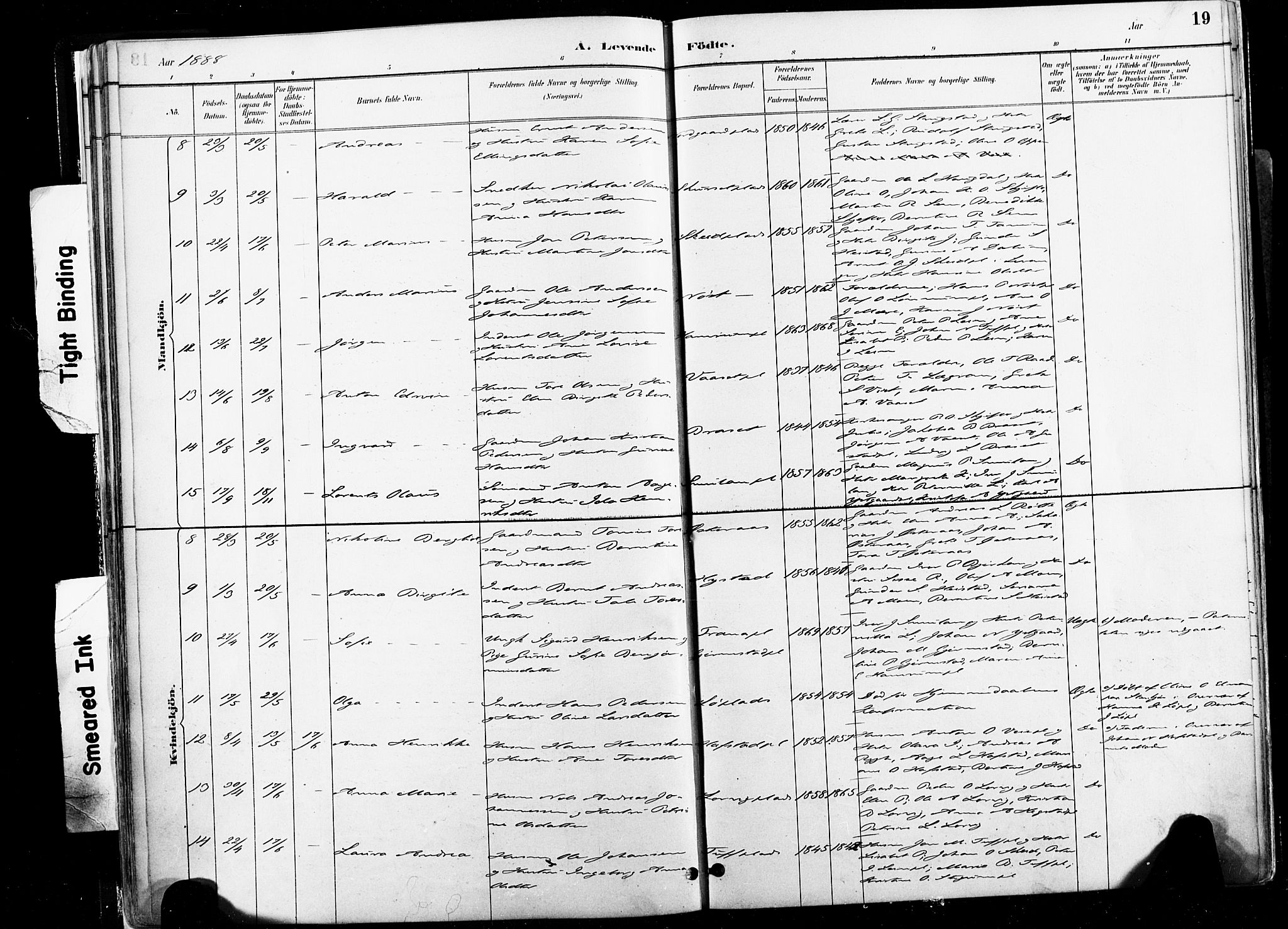 Ministerialprotokoller, klokkerbøker og fødselsregistre - Nord-Trøndelag, SAT/A-1458/735/L0351: Parish register (official) no. 735A10, 1884-1908, p. 19